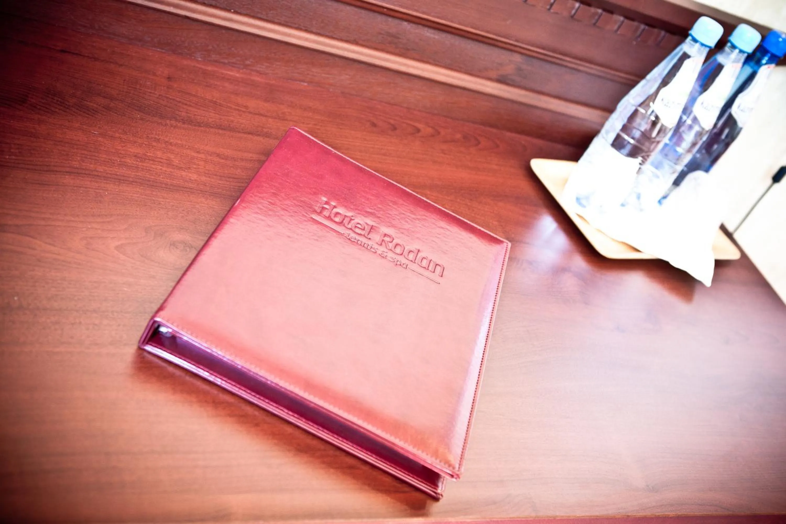 Photo of the whole room in Hotel Rodan