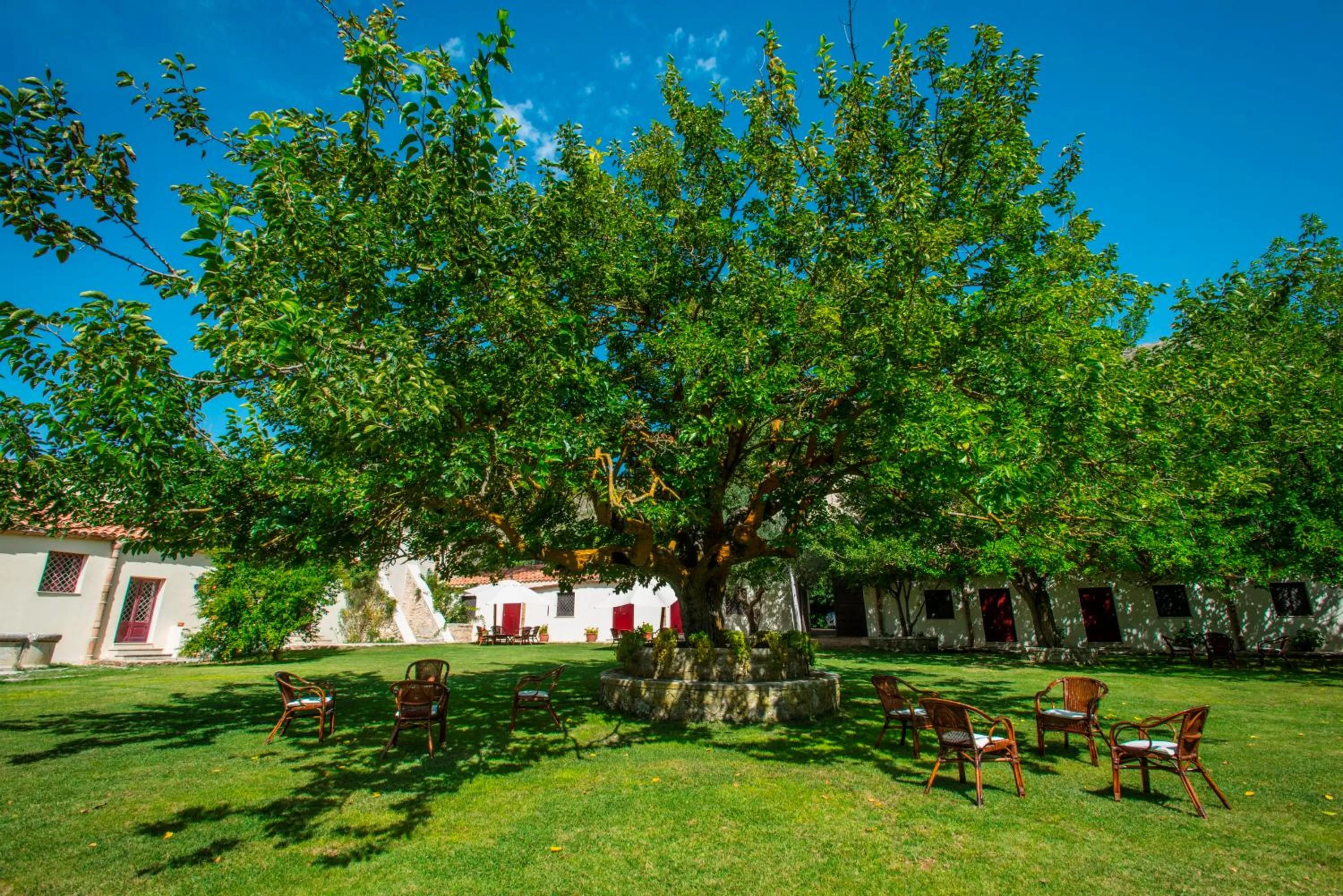 Garden in Masseria Rossella