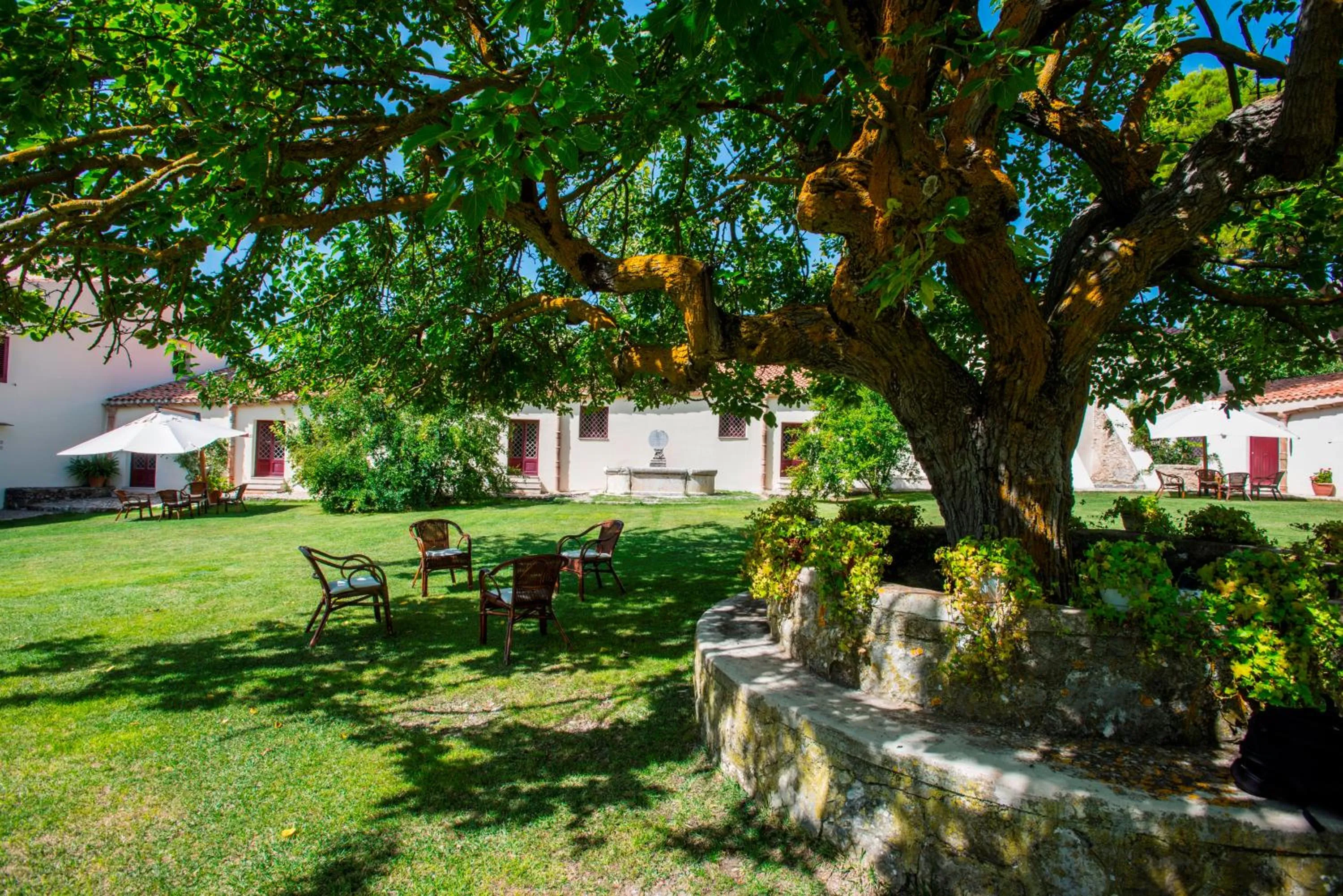 Garden in Masseria Rossella