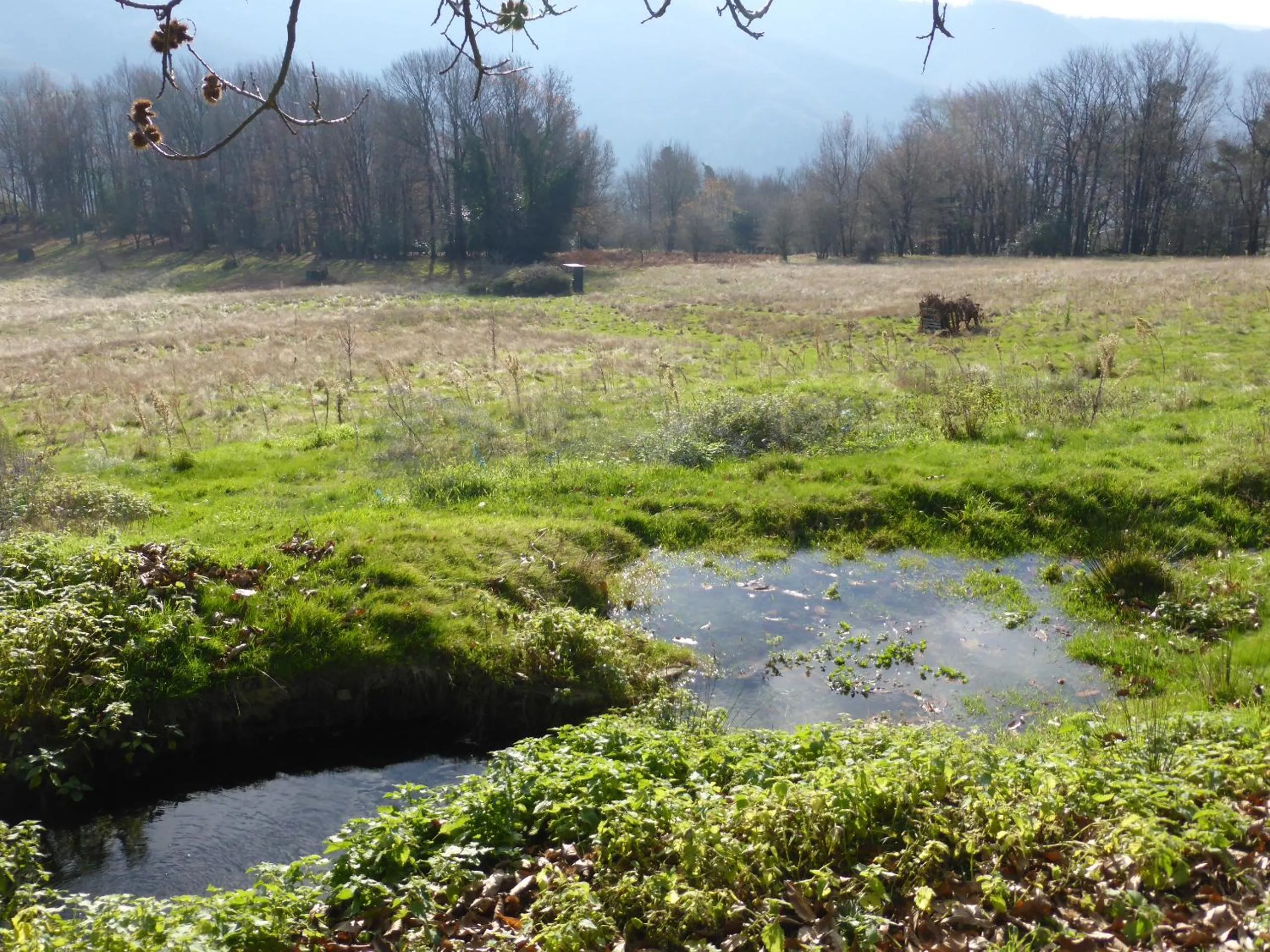 Property building in B and B Sycomore, La Bouriotte