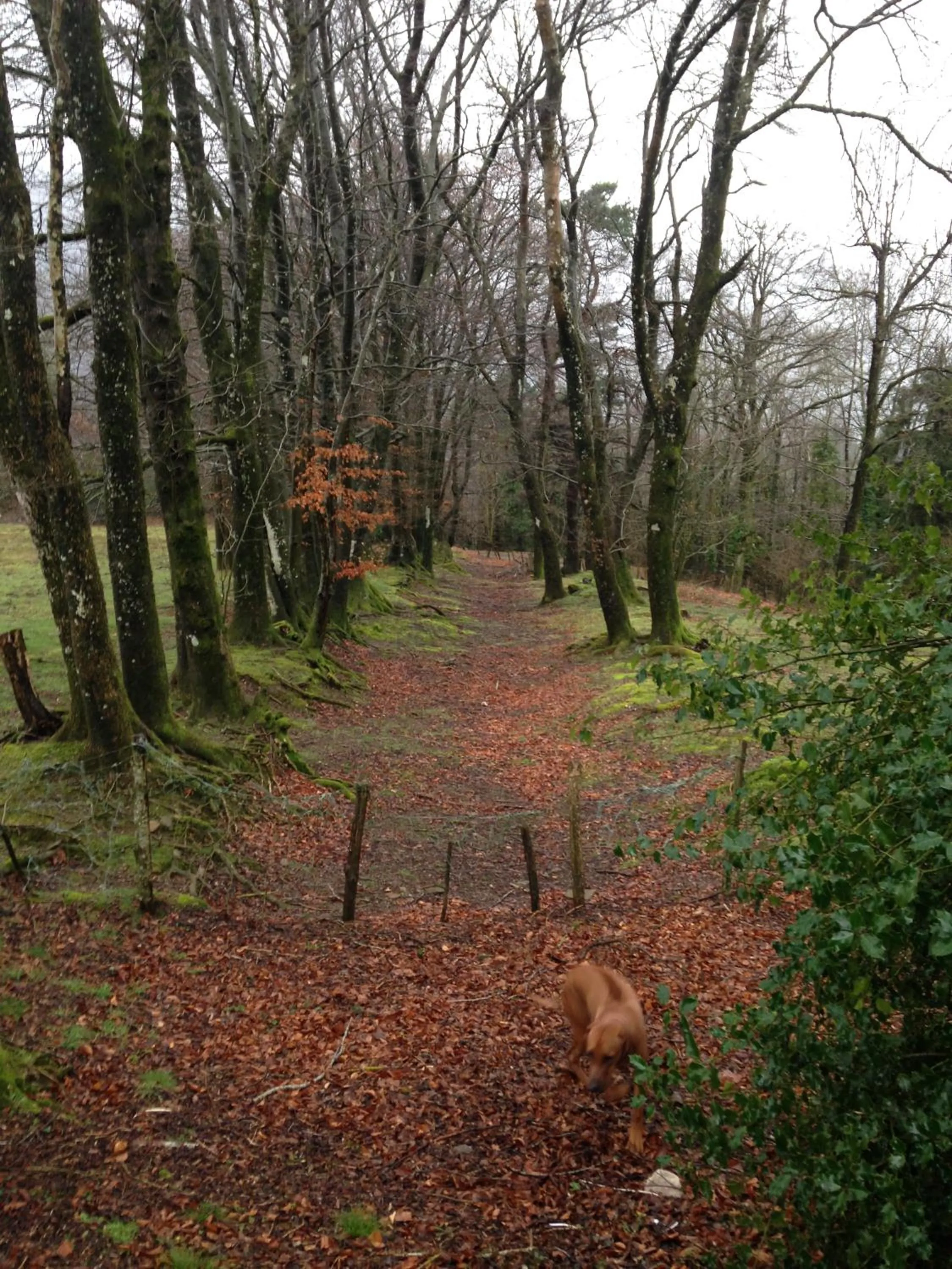 Property building in B and B Sycomore, La Bouriotte