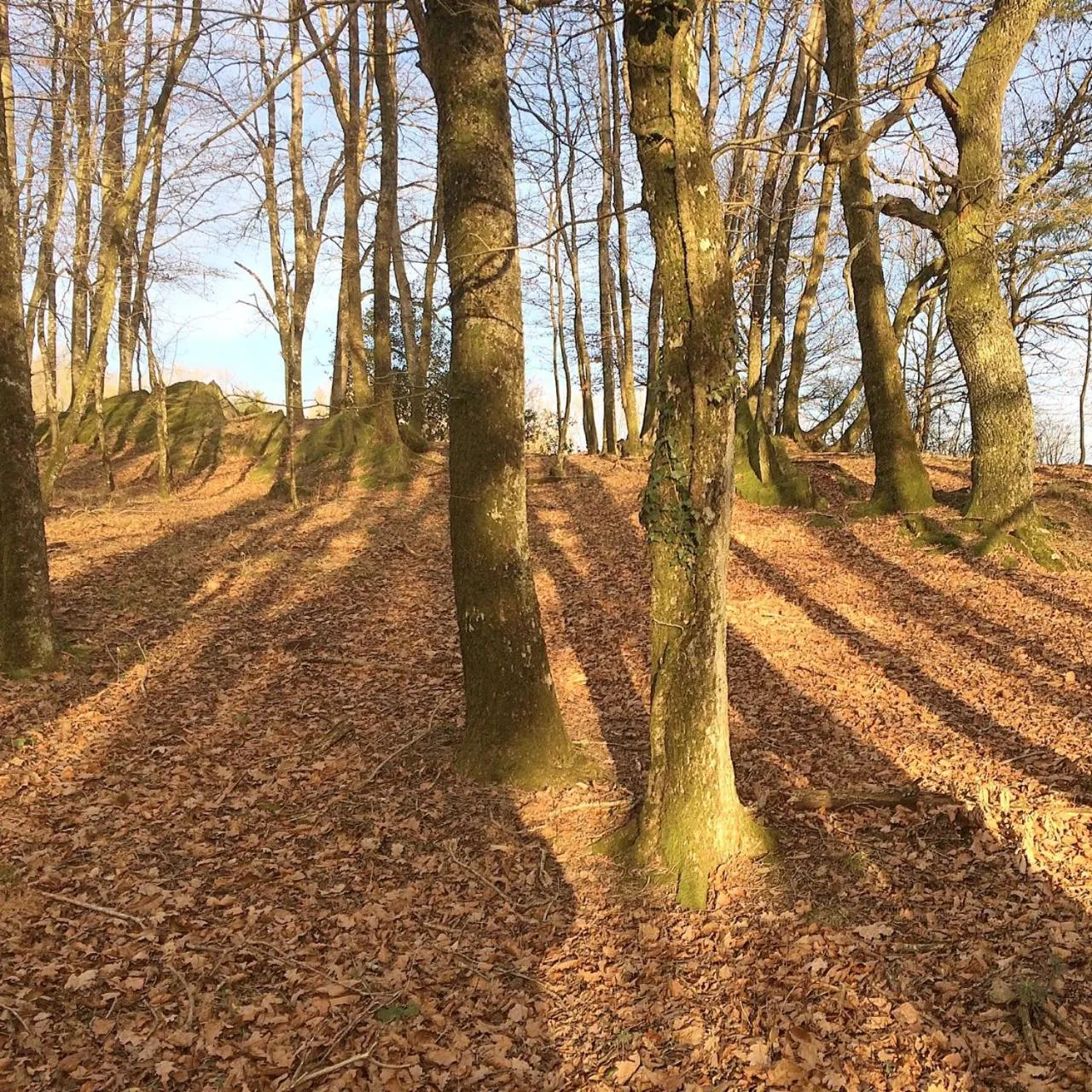 Property building in B and B Sycomore, La Bouriotte