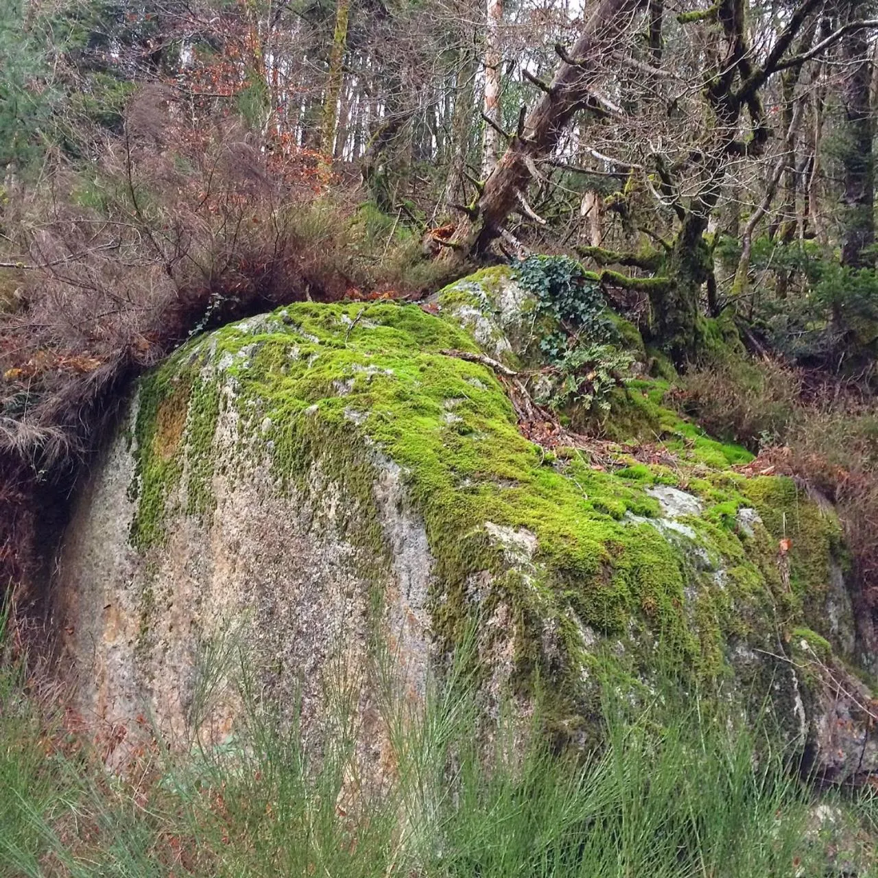 Property building in B and B Sycomore, La Bouriotte