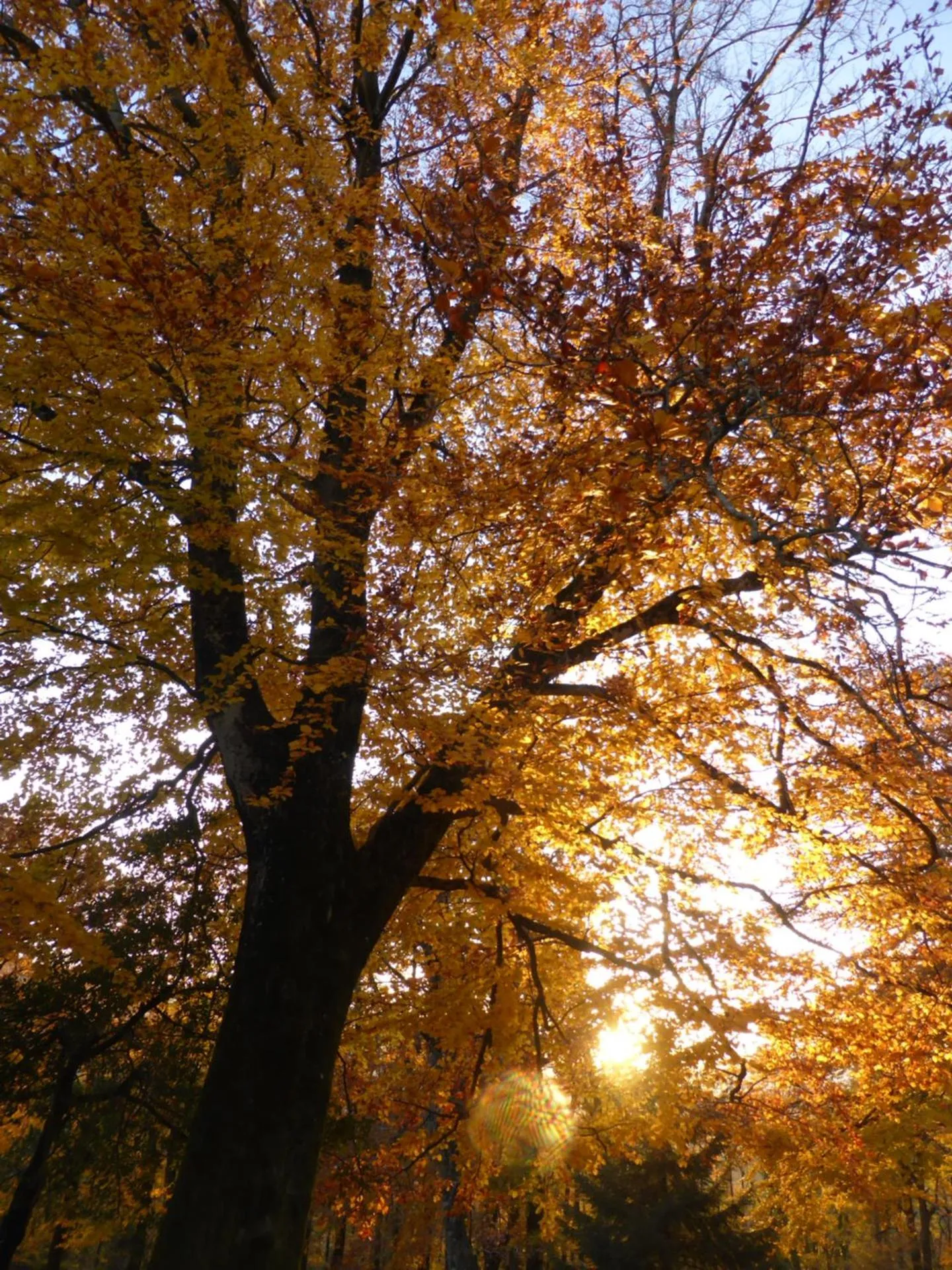 Nearby landmark in La Bouriotte, chambre d'hôtes Sycomore,