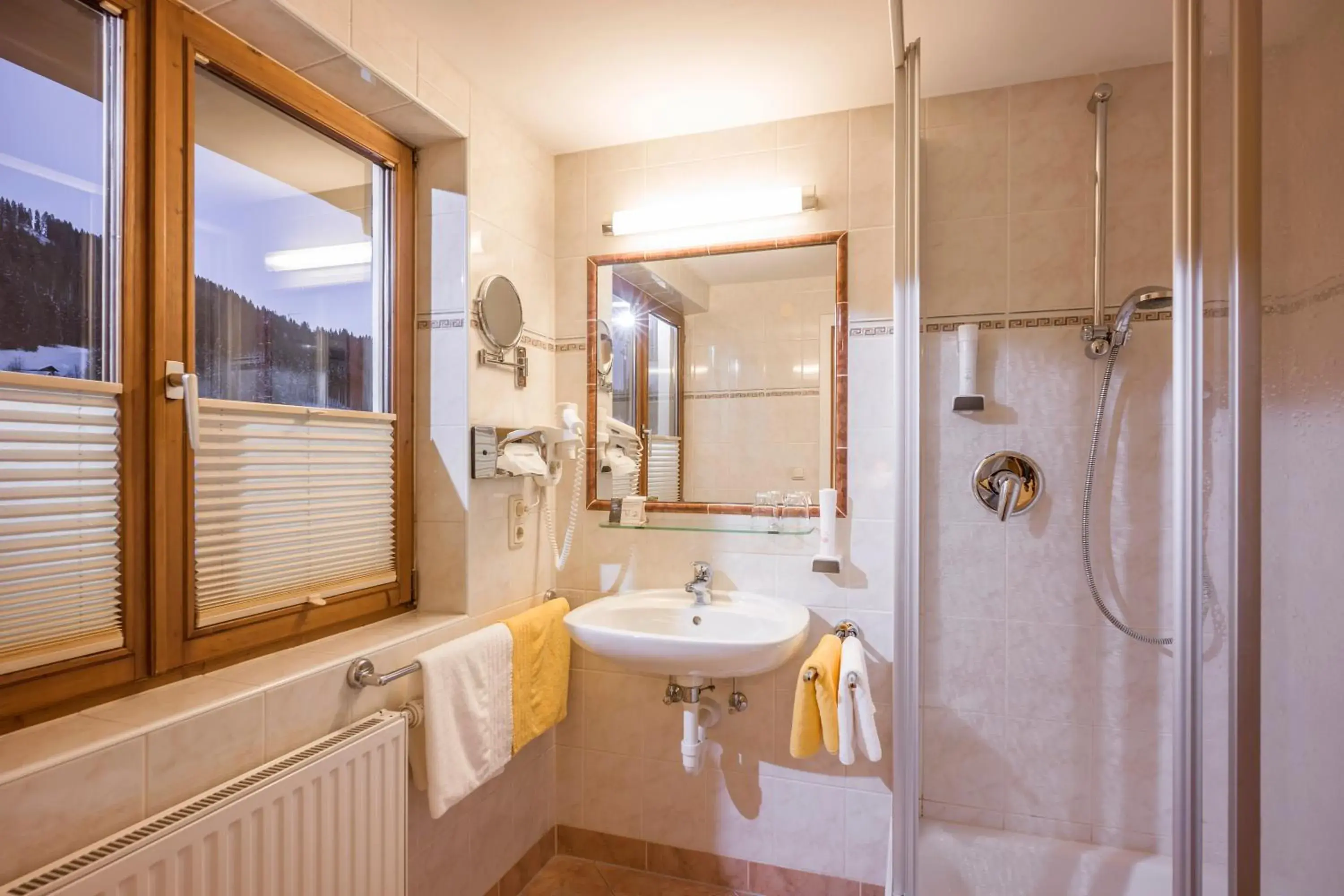 Double Room - single occupancy in Hotel Bichlingerhof Double Room - single occupancy in Hotel Bichlingerhof