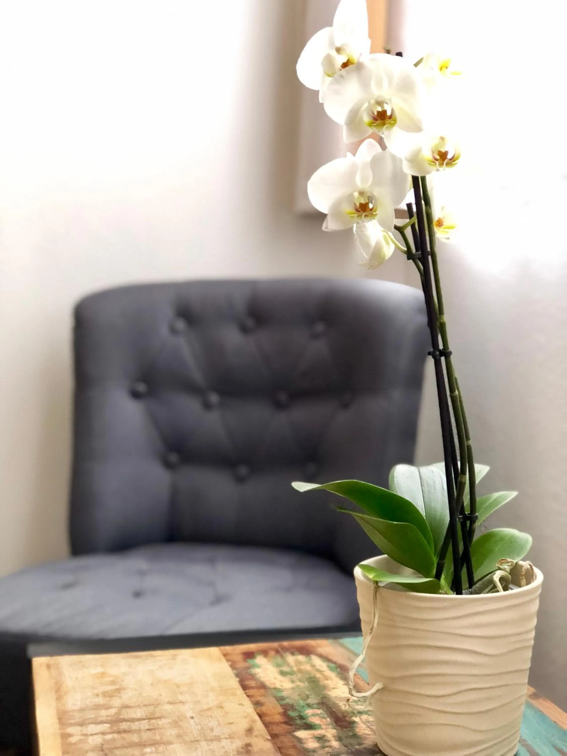 Seating area in Familia