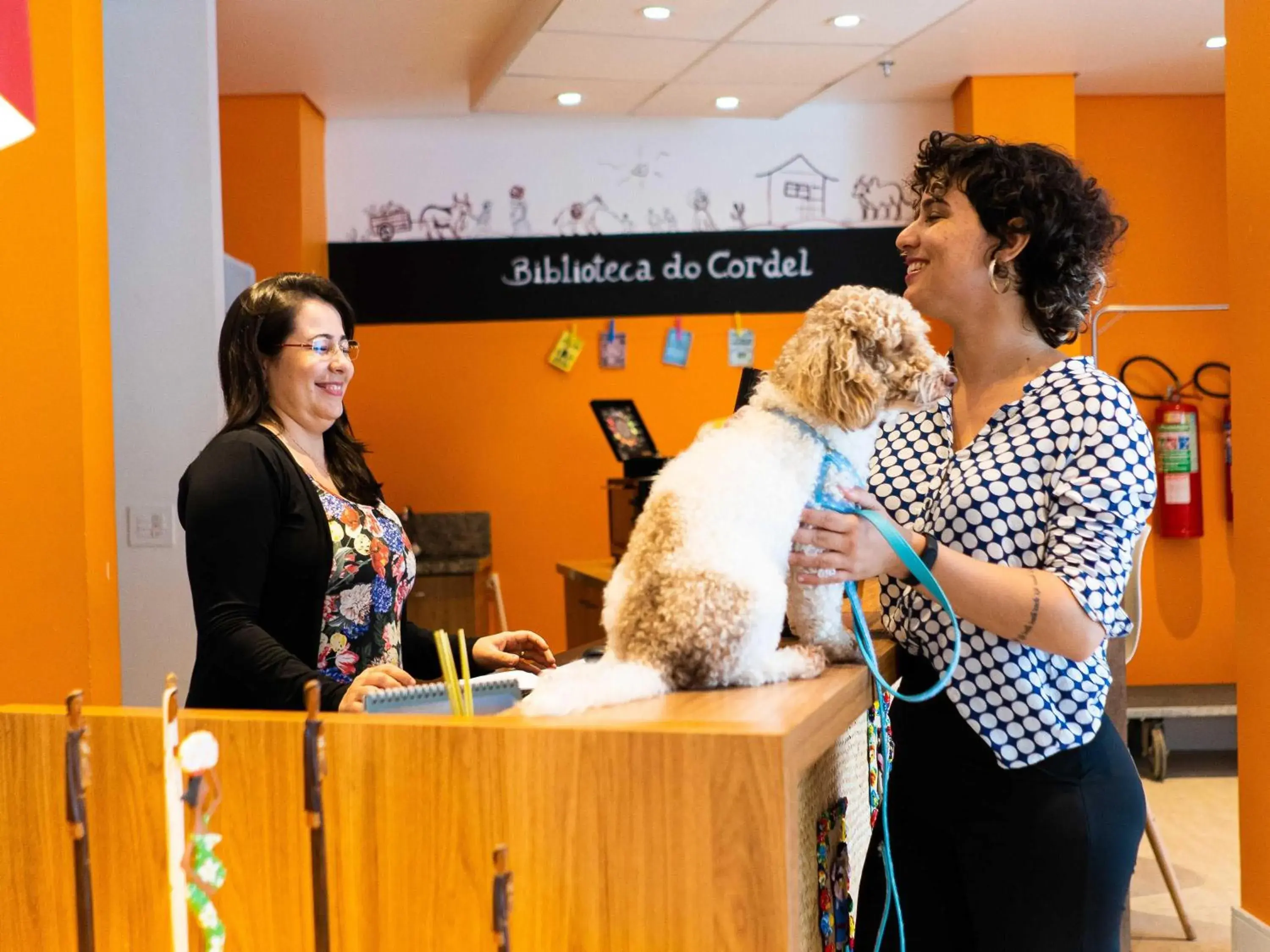 Property building in ibis Styles Campina Grande Property building in ibis Styles Campina Grande