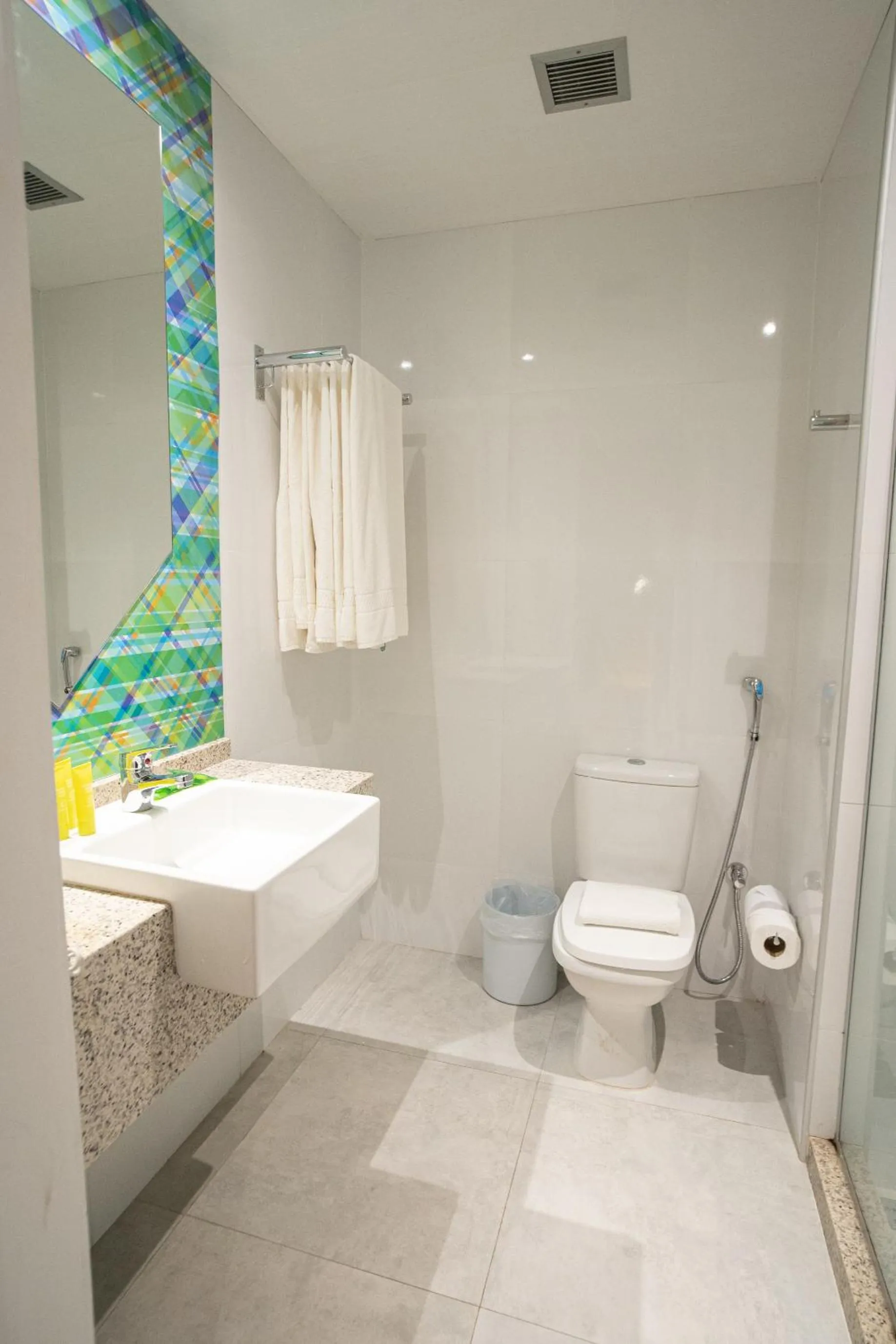 Shower in ibis Styles Campina Grande