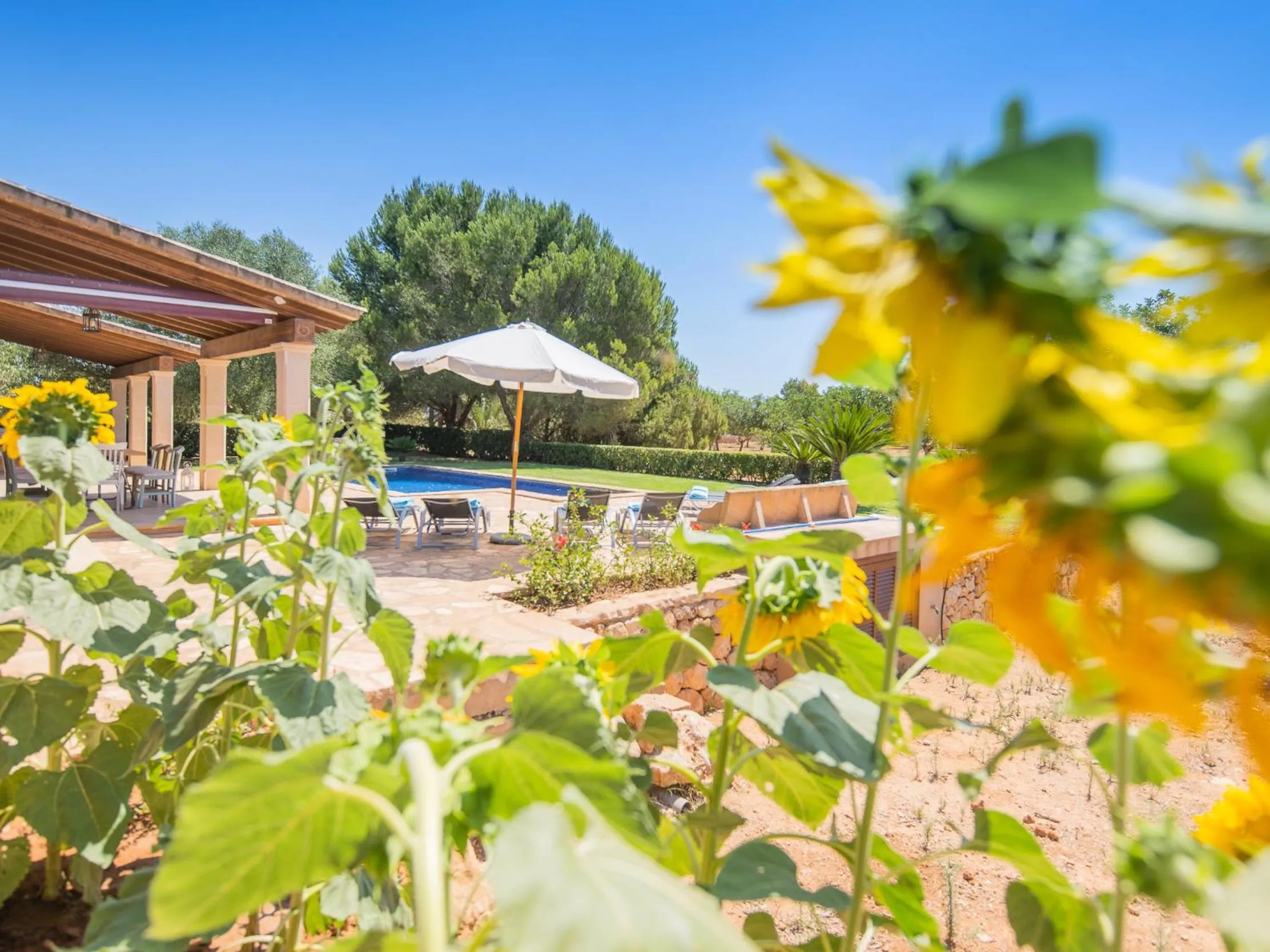 Swimming pool in Villa Ses Quaranta