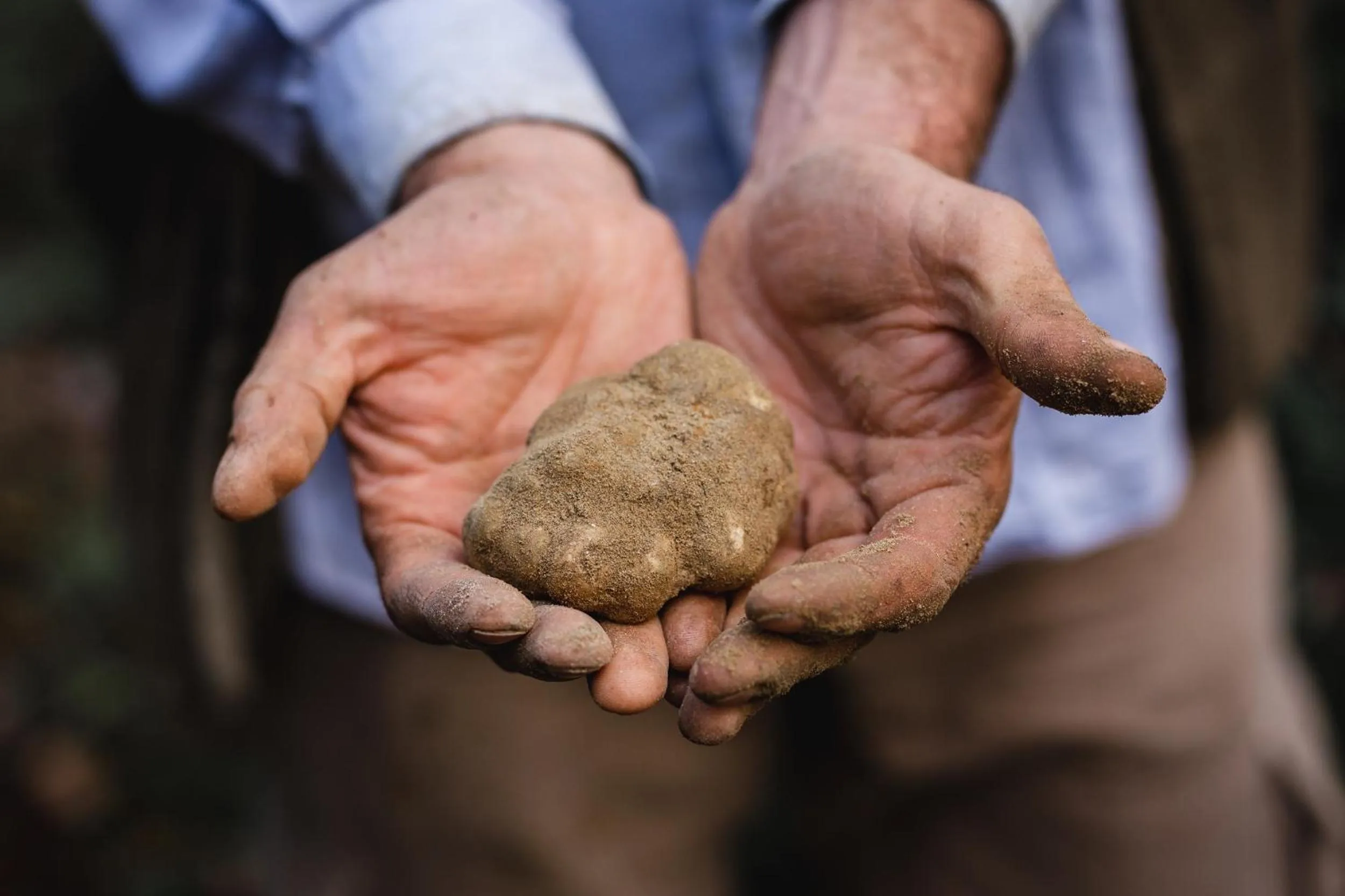 Activities in Rosewood Castiglion del Bosco