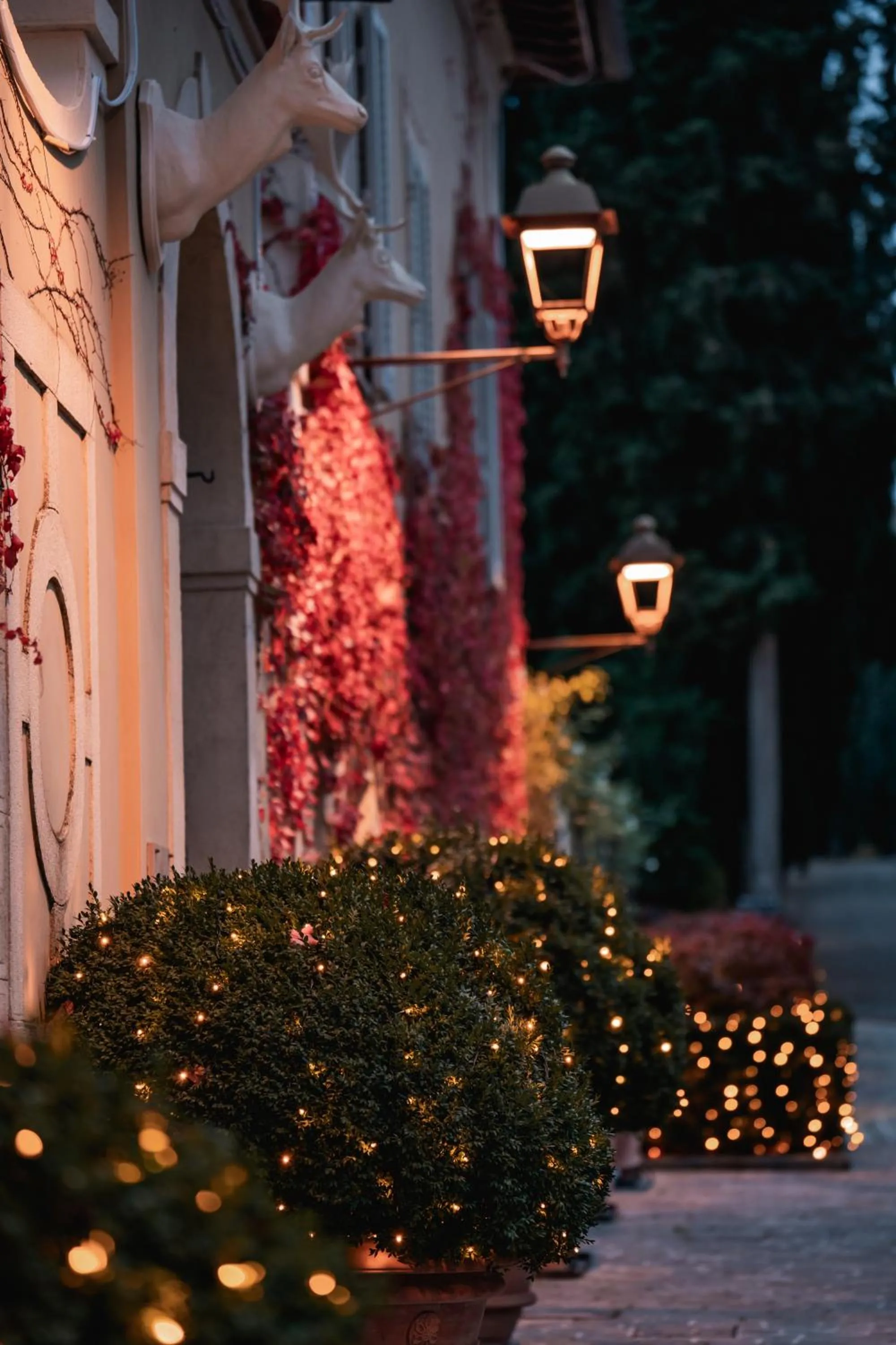 Property building in Rosewood Castiglion del Bosco