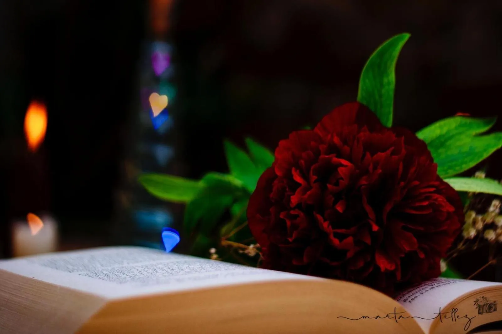 Living room in Hospedería Casa Martell