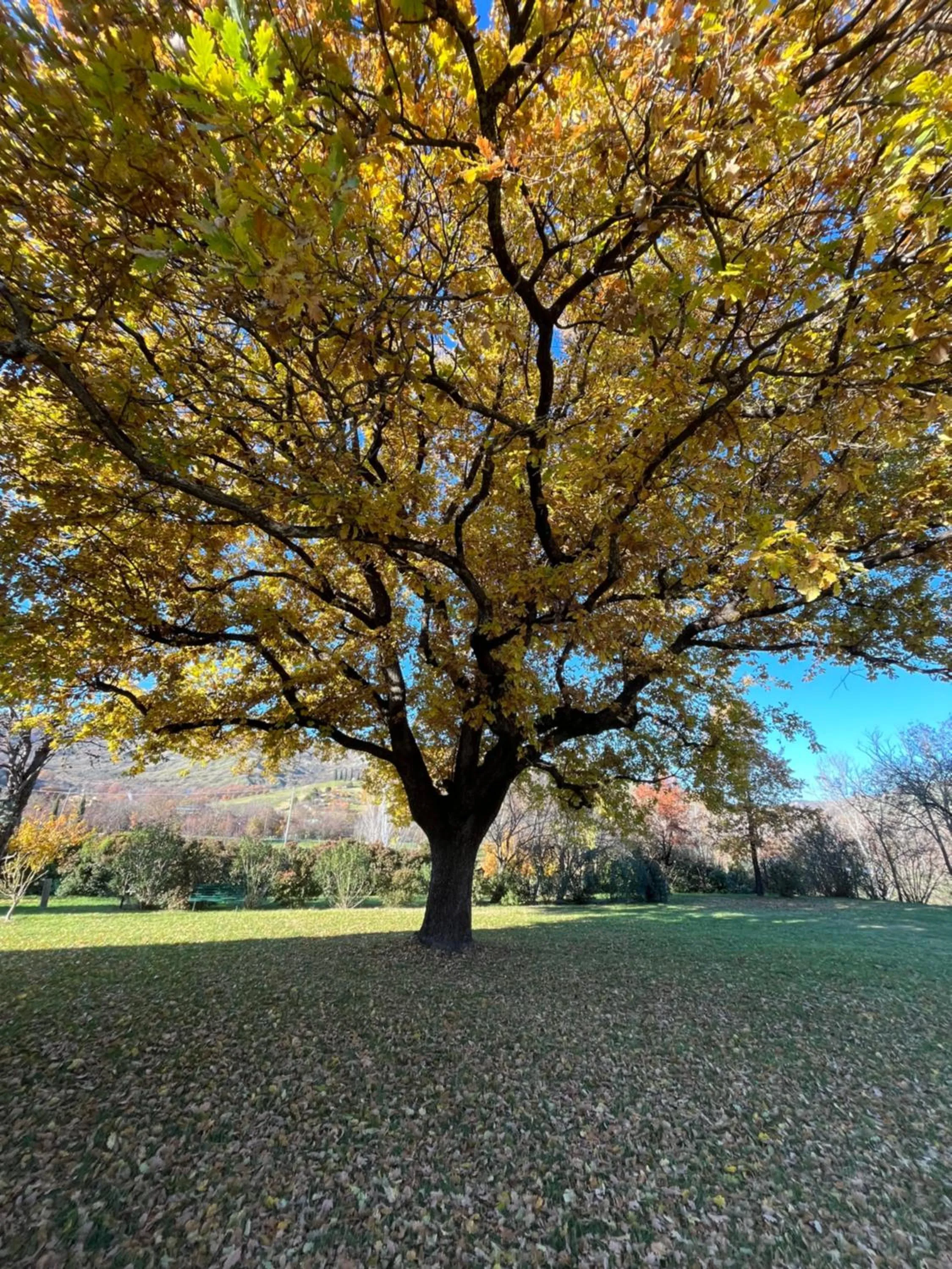 Natural landscape in Villaggio Della Salute Più