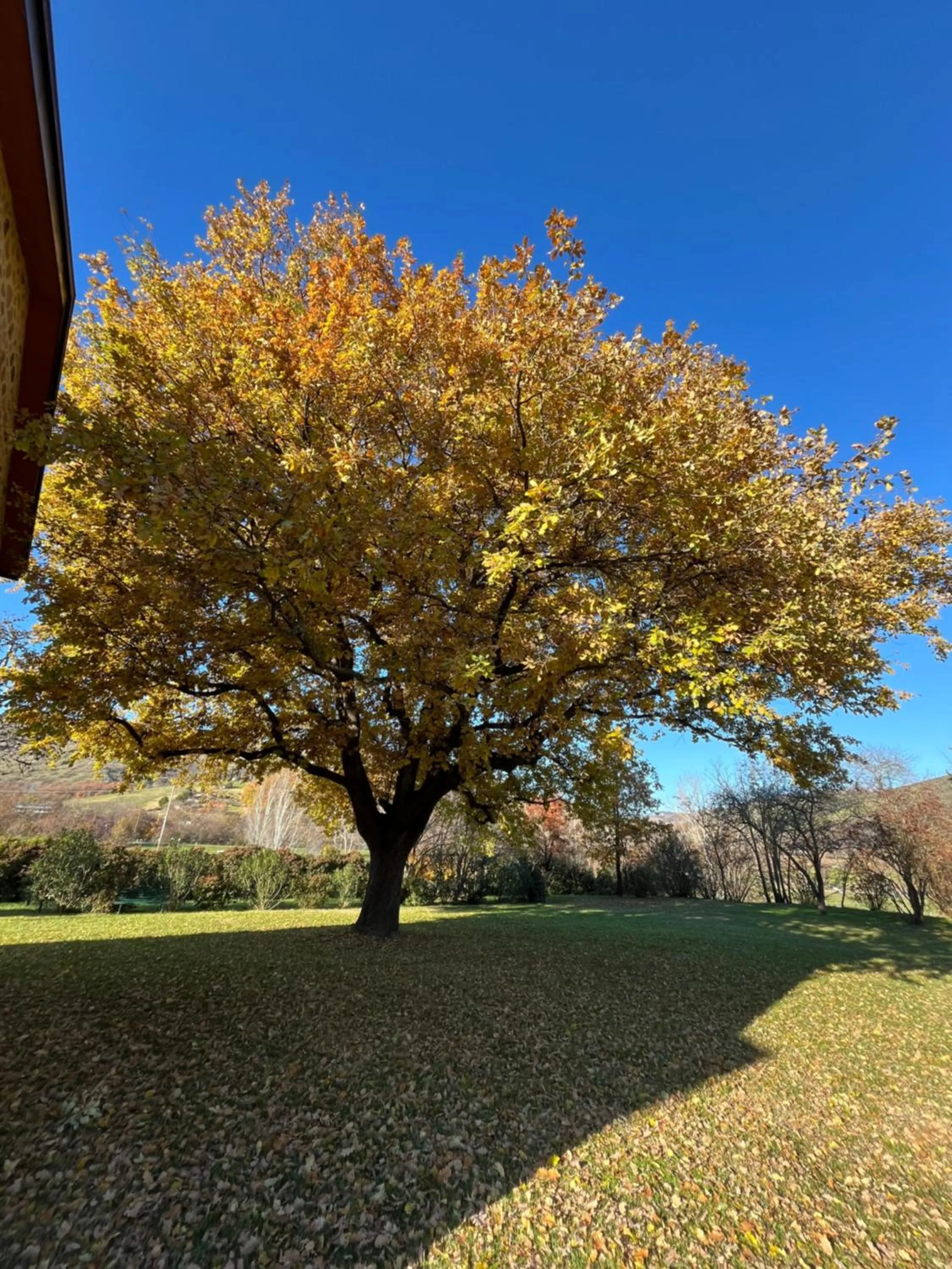 Spring in Villaggio Della Salute Più