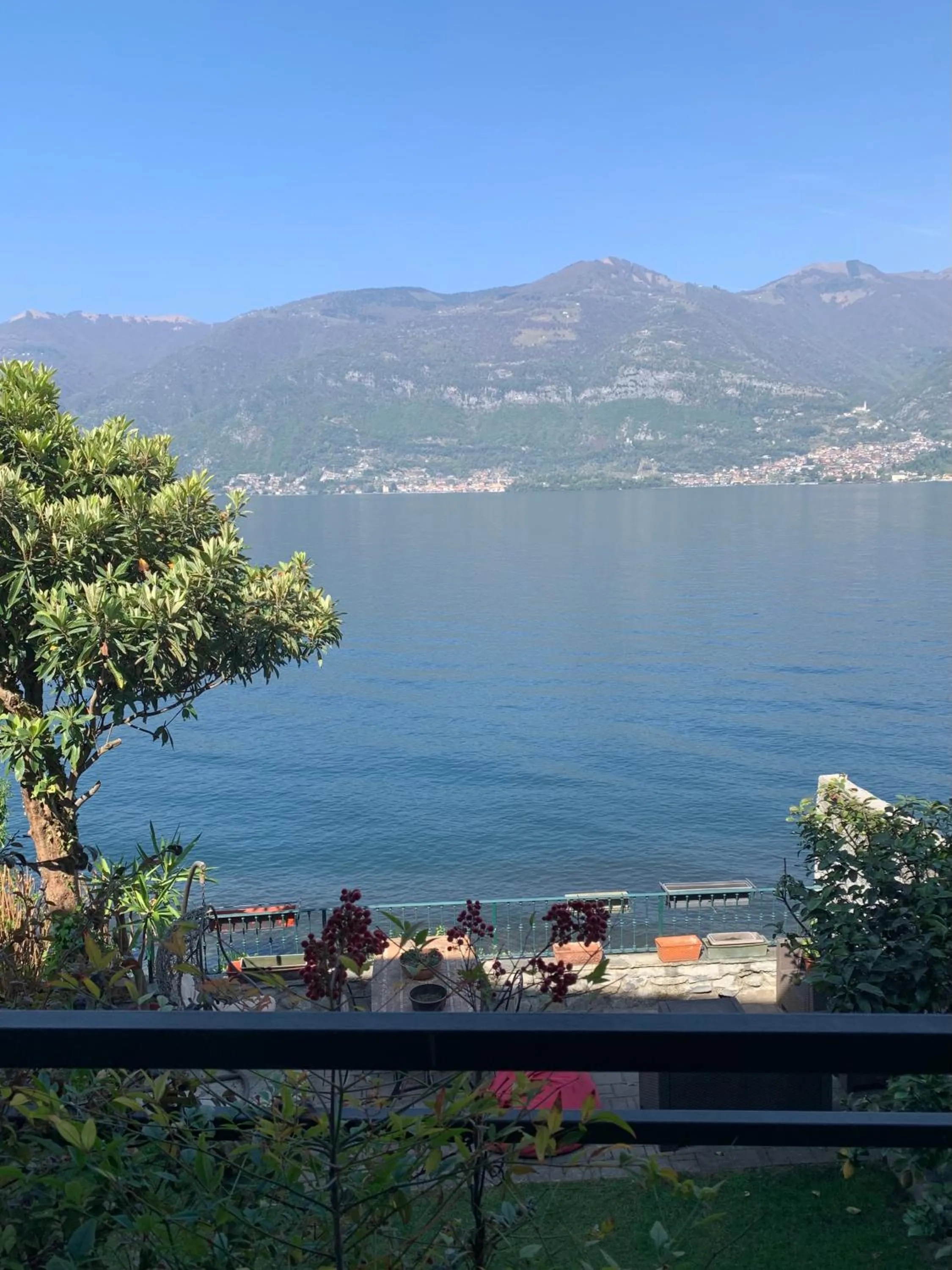 Natural landscape in B&B Nest on the Lake