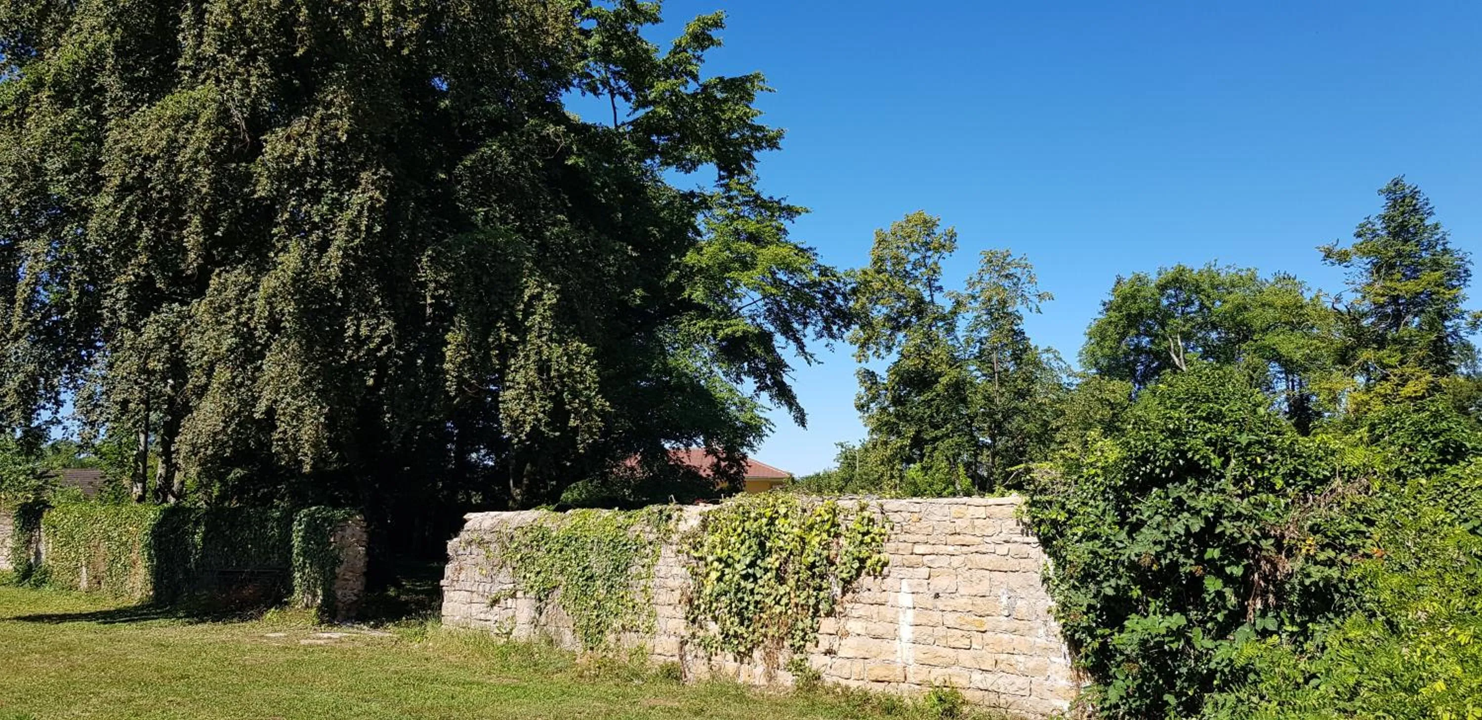 Garden in Le 49 Côté Parc & SPA