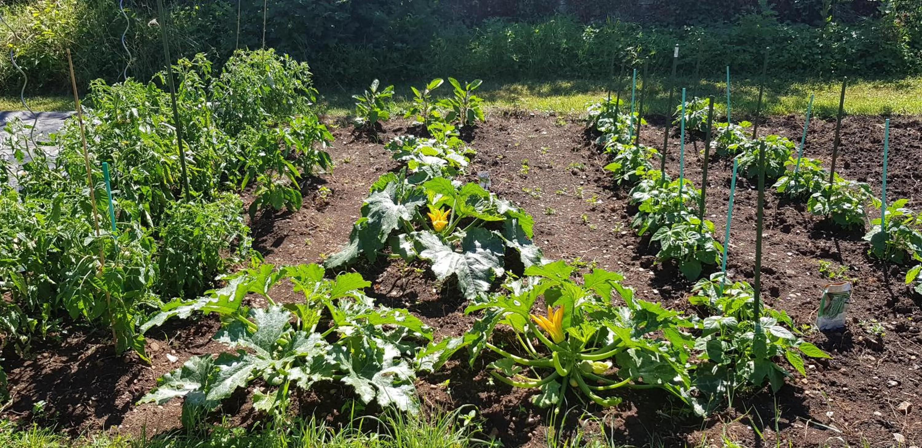 Garden in Le 49 Côté Parc & SPA