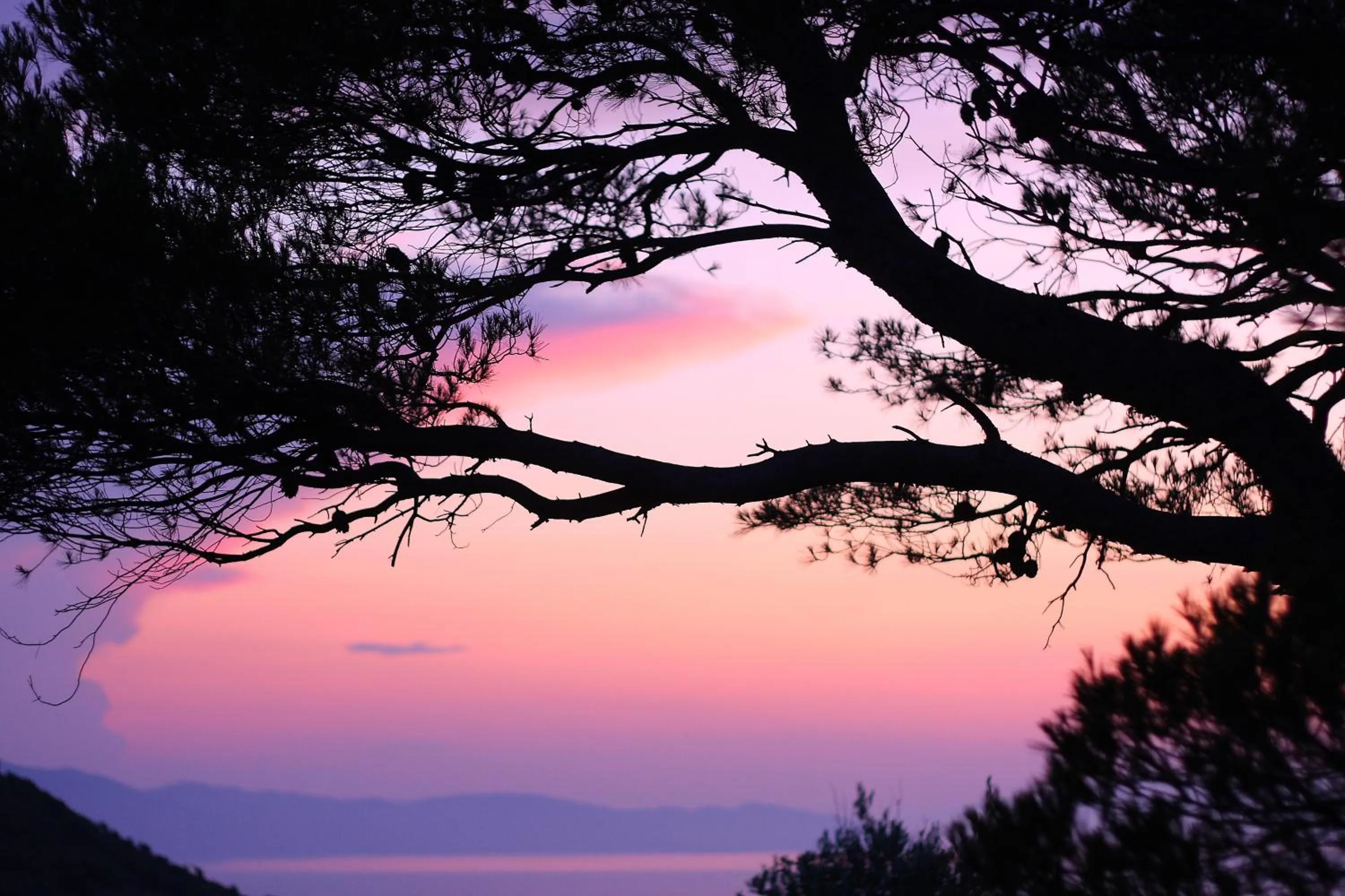 Sea view in Gorgona Hotel