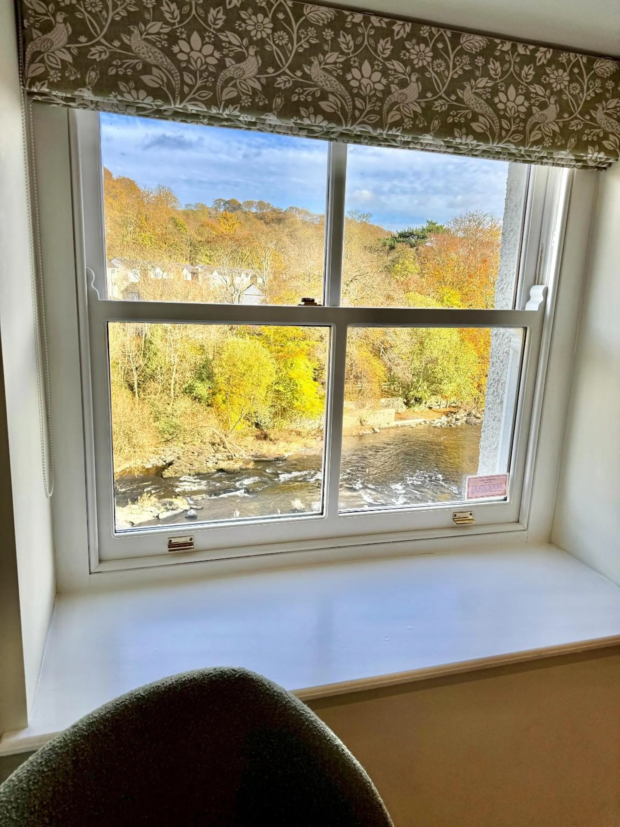 View (from property/room) in RIVERBANC