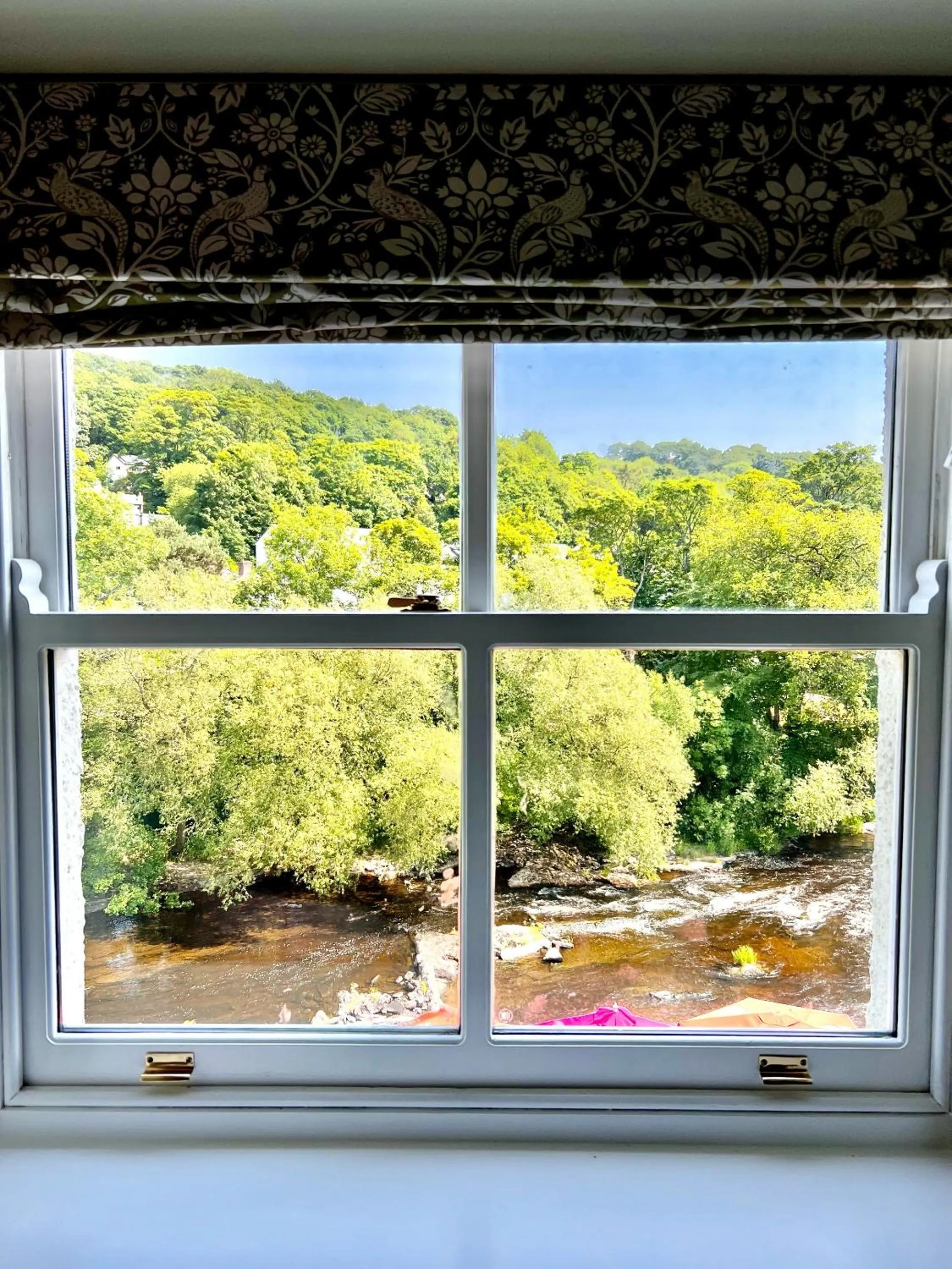 View (from property/room) in RIVERBANC