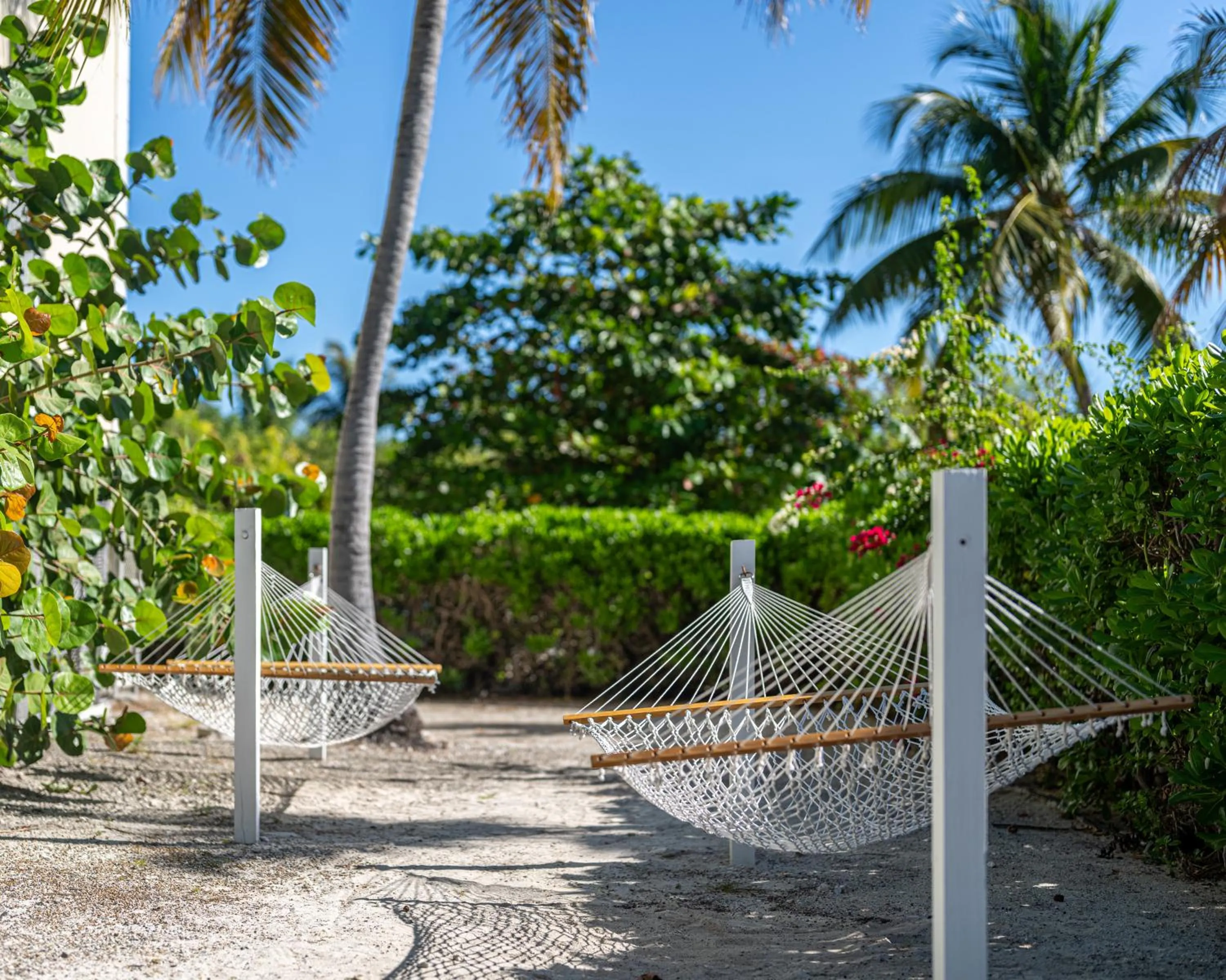 Area and facilities in Ports of Call Resort