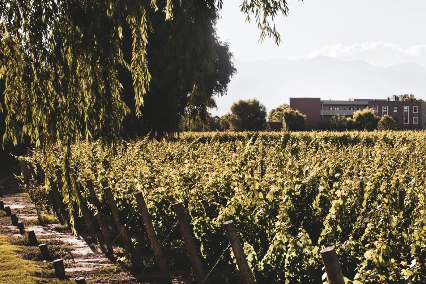 Natural landscape in Fuente Mayor Hotel & Casino