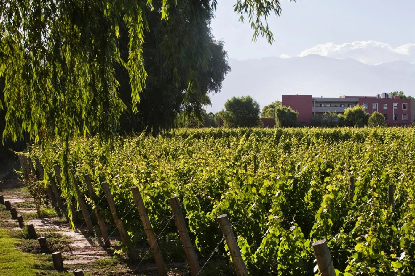 Nearby landmark in Fuente Mayor Hotel & Casino