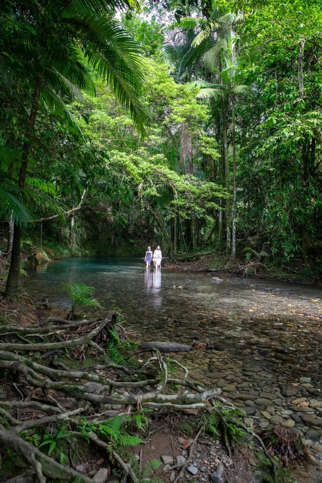 River view in Heritage Lodge - in the Daintree