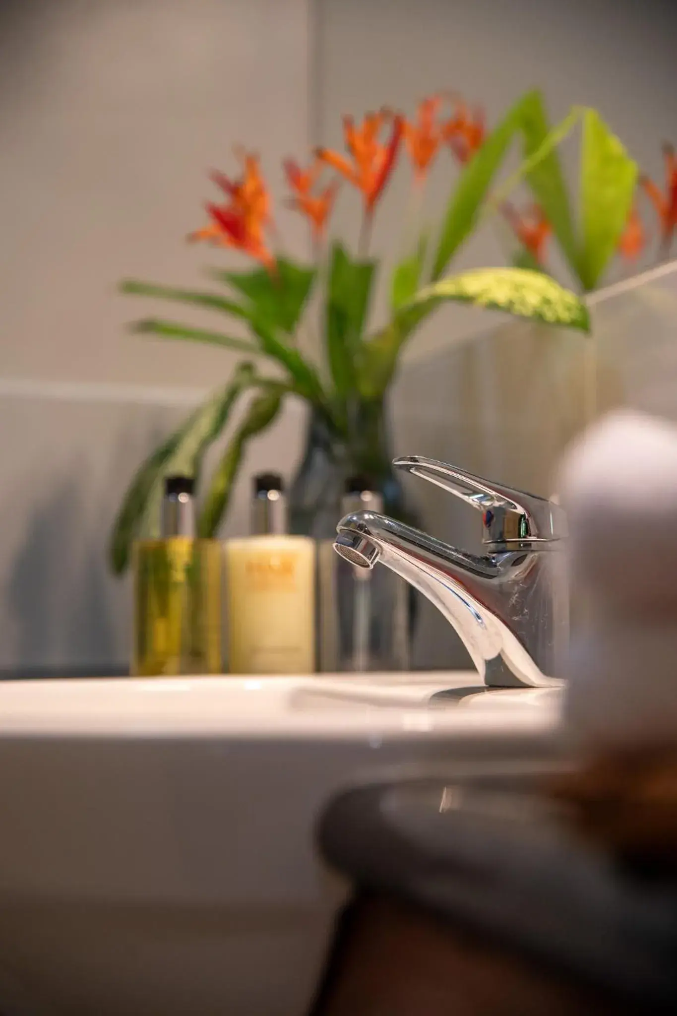 Standard Twin Room in Heritage Lodge - in the Daintree Standard Twin Room in Heritage Lodge - in the Daintree