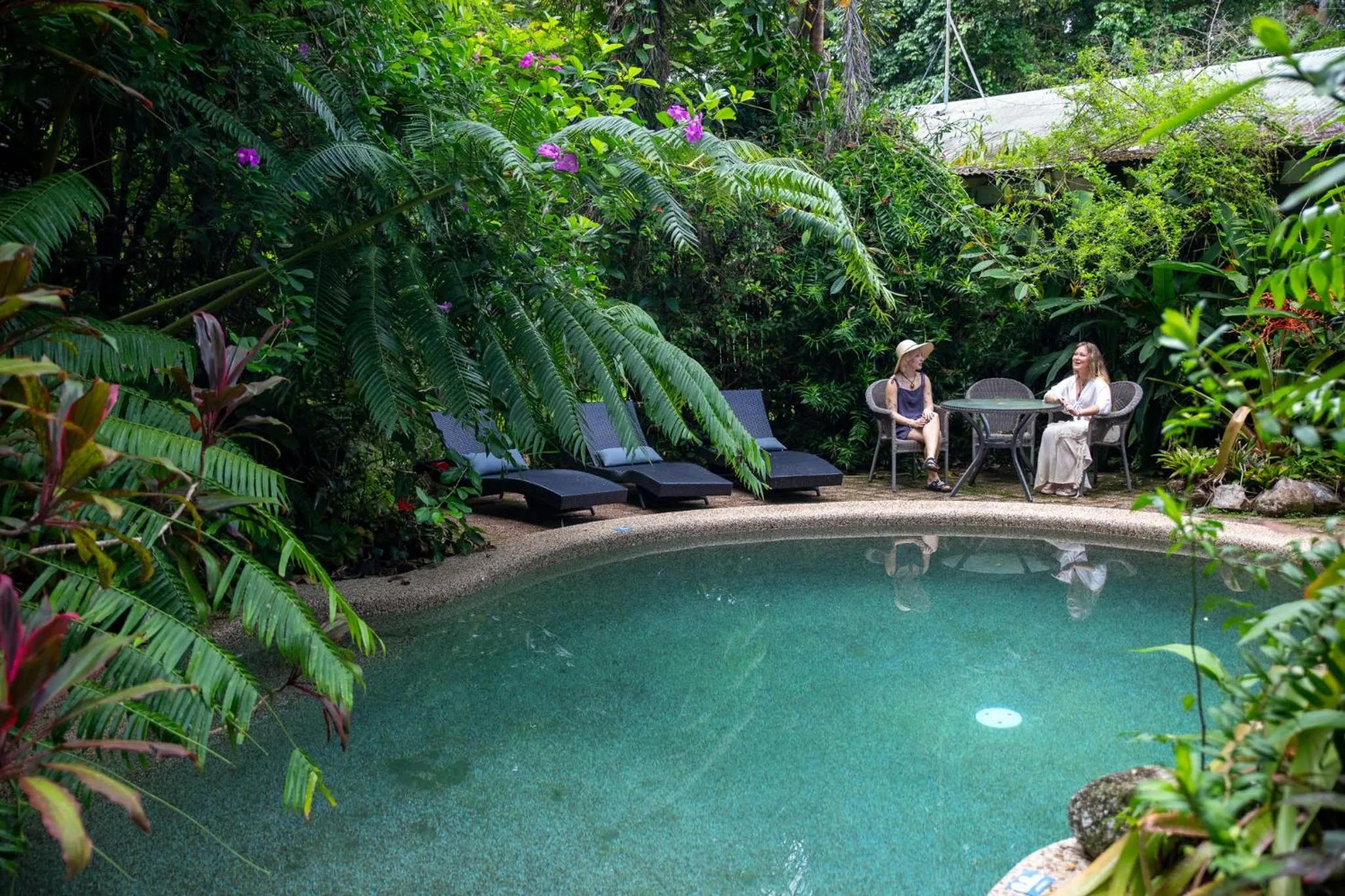 Swimming pool in Heritage Lodge - in the Daintree