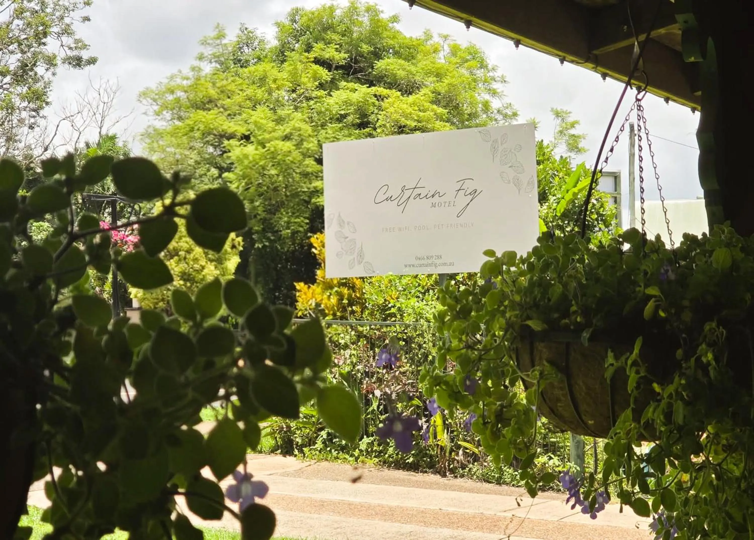 Garden in Curtain Fig Motel
