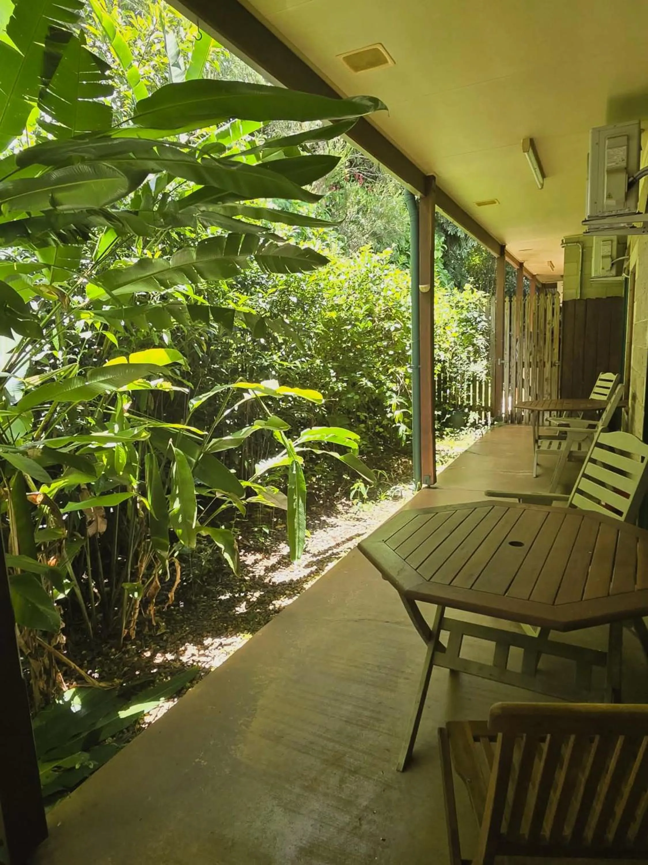Patio in Curtain Fig Motel