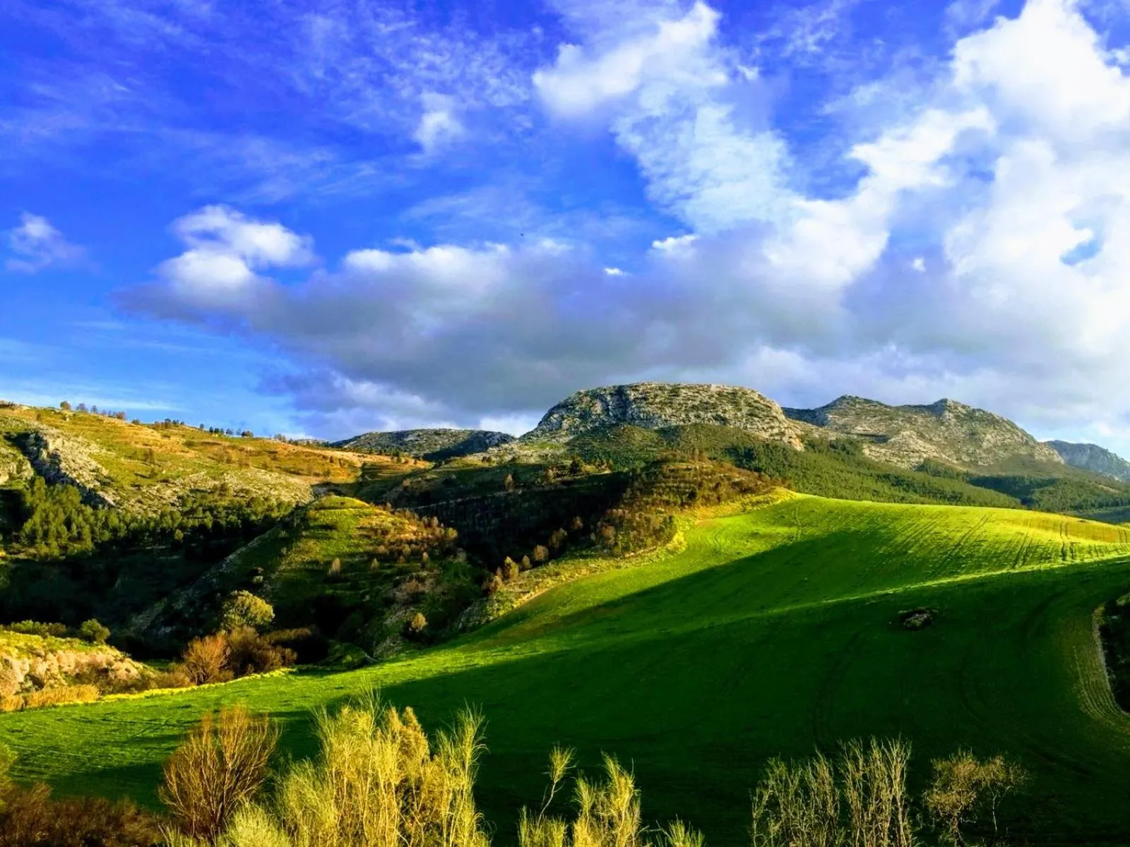 Natural landscape in Hotel Ronda Moments