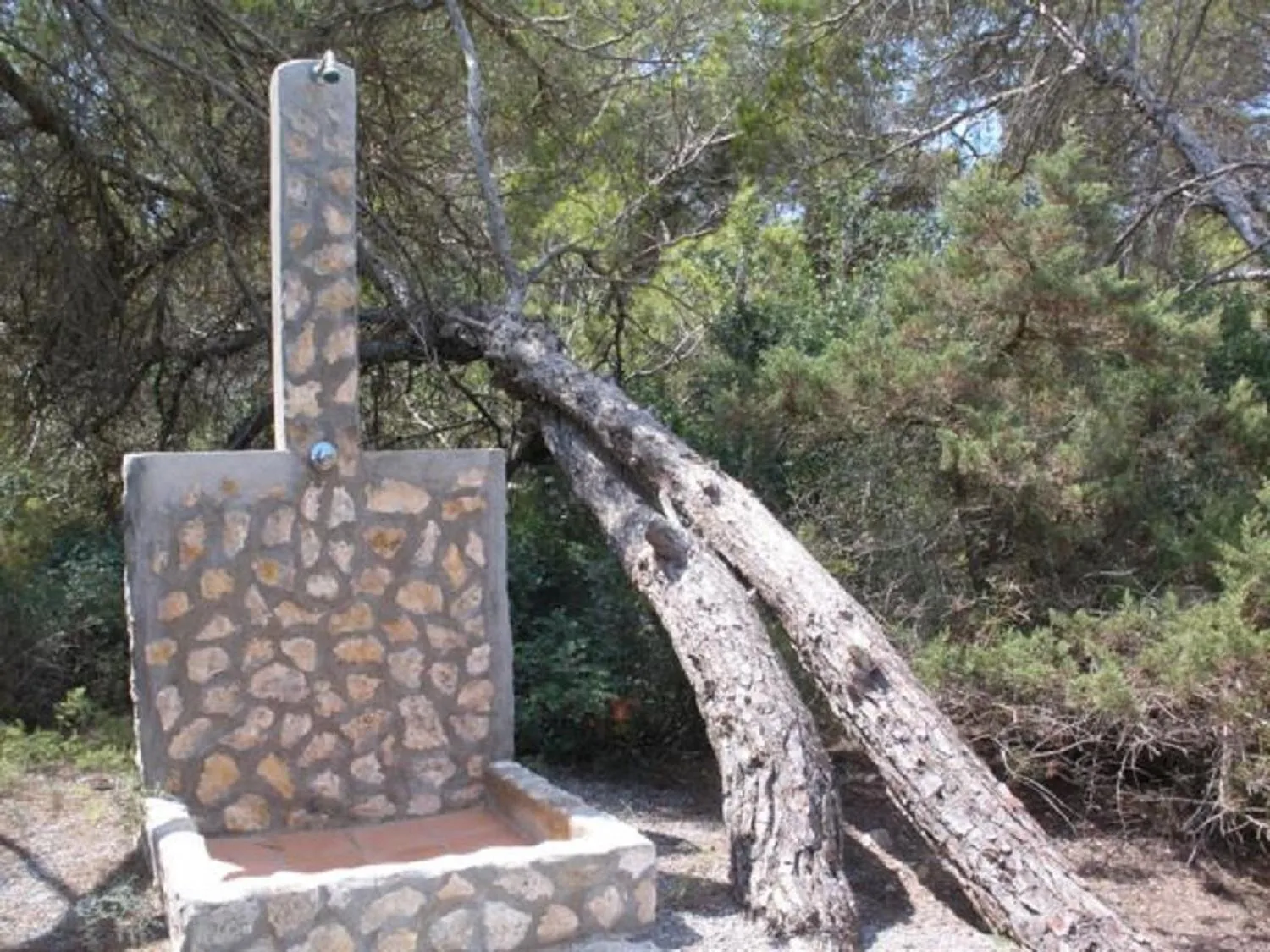 Garden in Casa Marcos