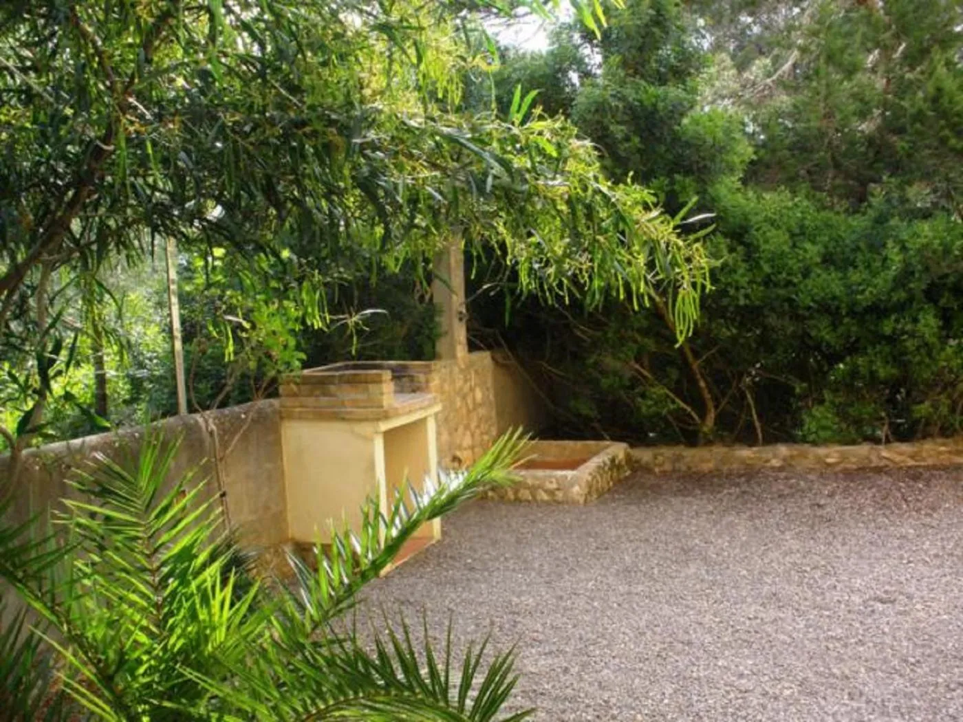 Garden in Casa Marcos