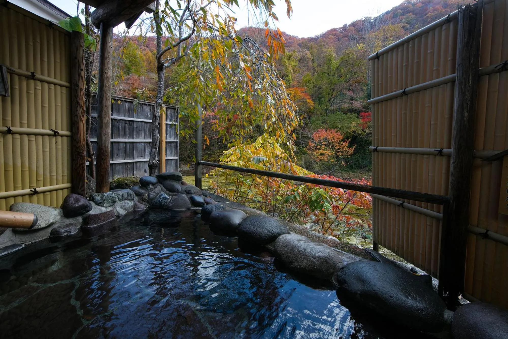 Hot Spring Bath in Honke Bankyu