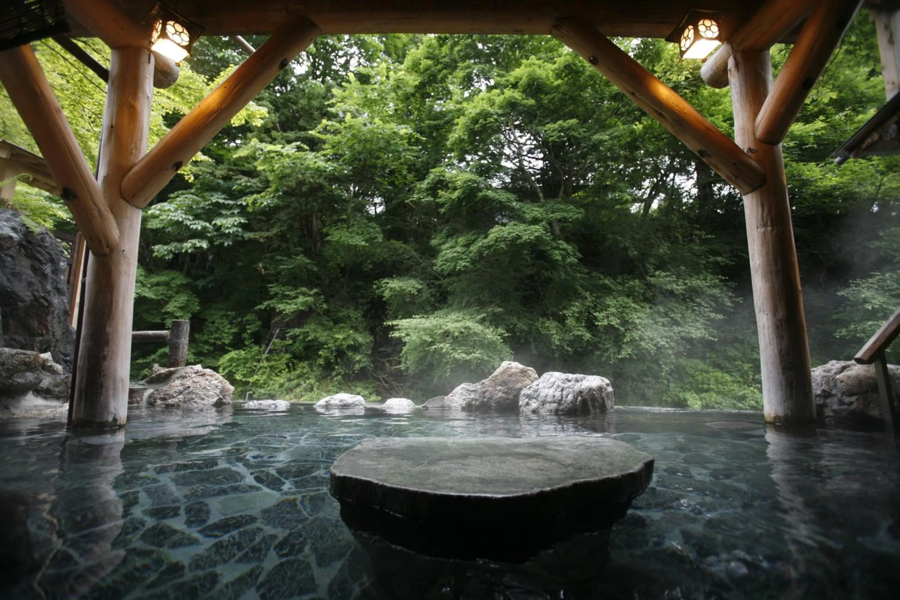 Hot Spring Bath in Honke Bankyu