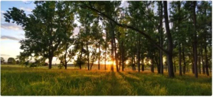 All Seasons Country Lodge