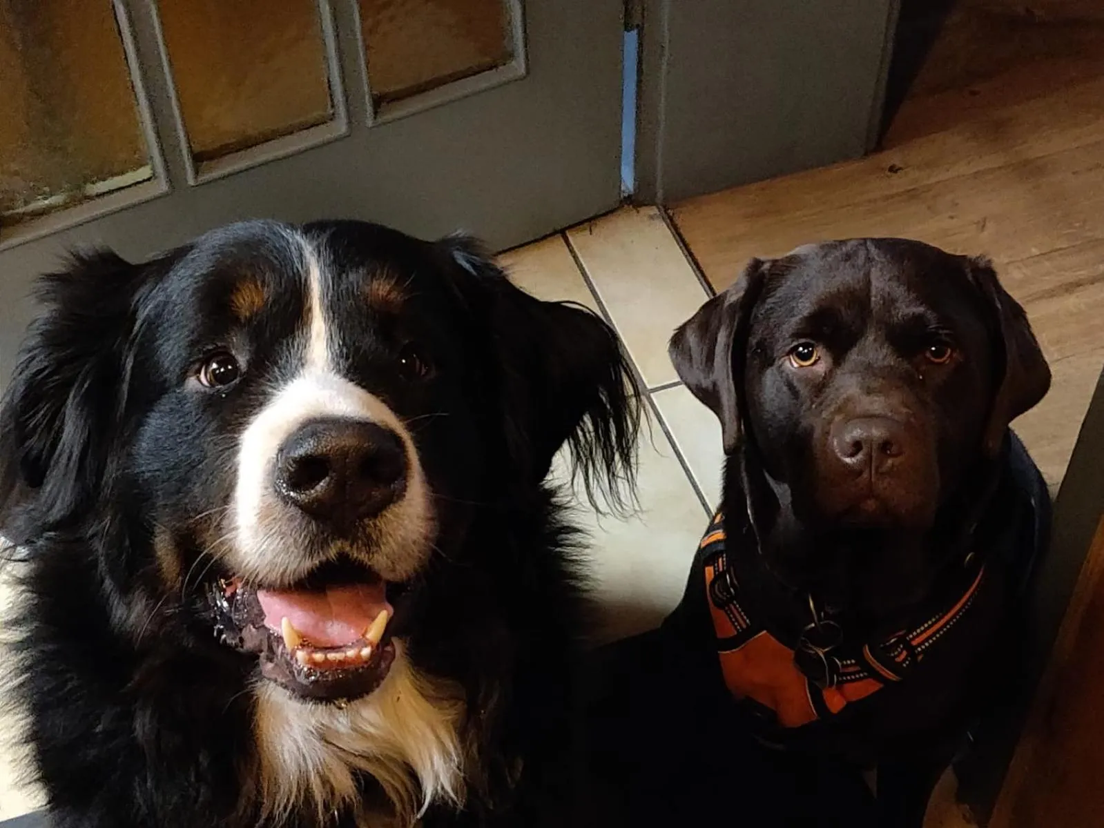 Restaurant/places to eat in Hotel-Restaurant Köhler