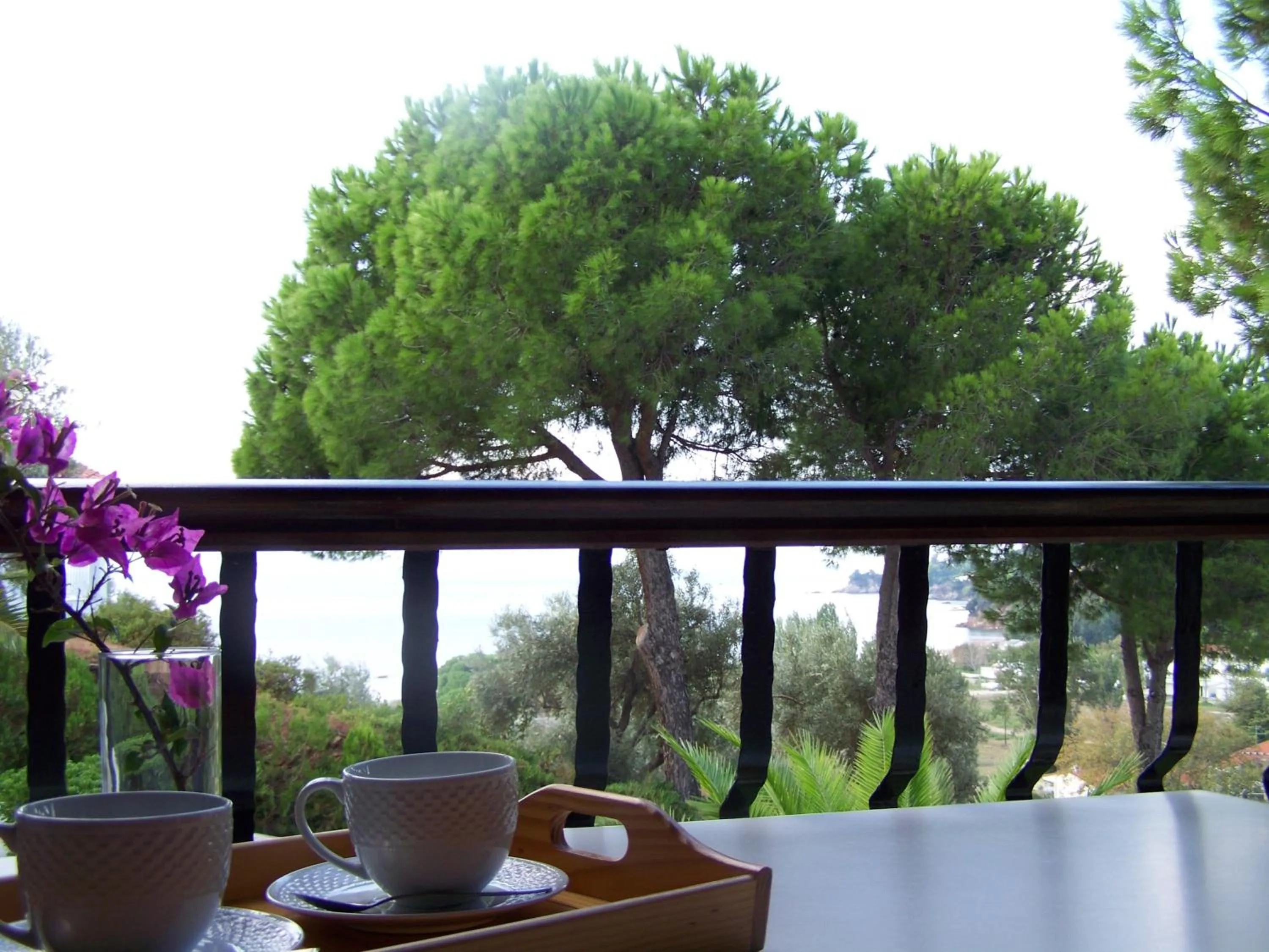 Day in Villa Anna Maria