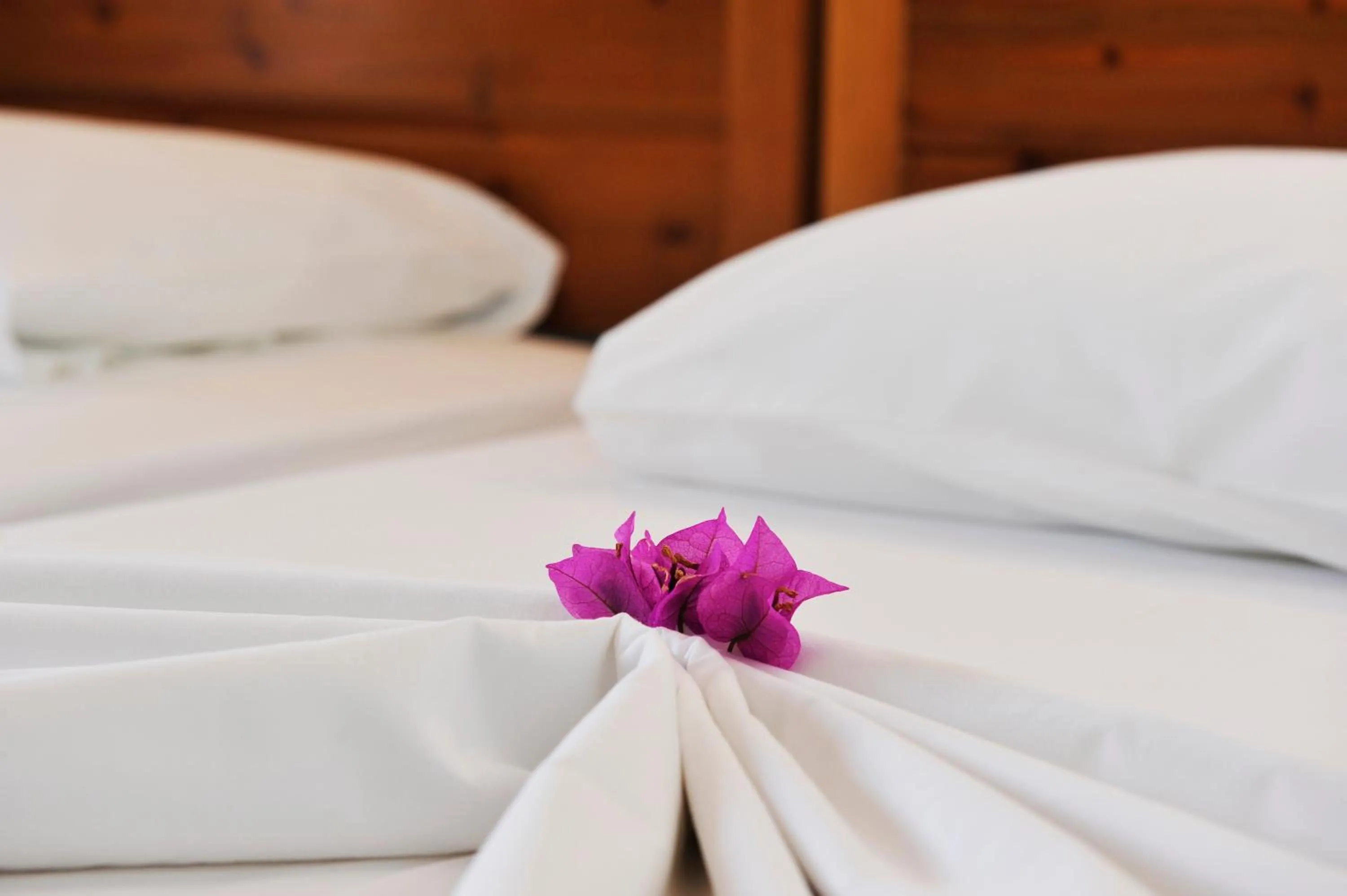 Decorative detail, Bed in Villa Anna Maria