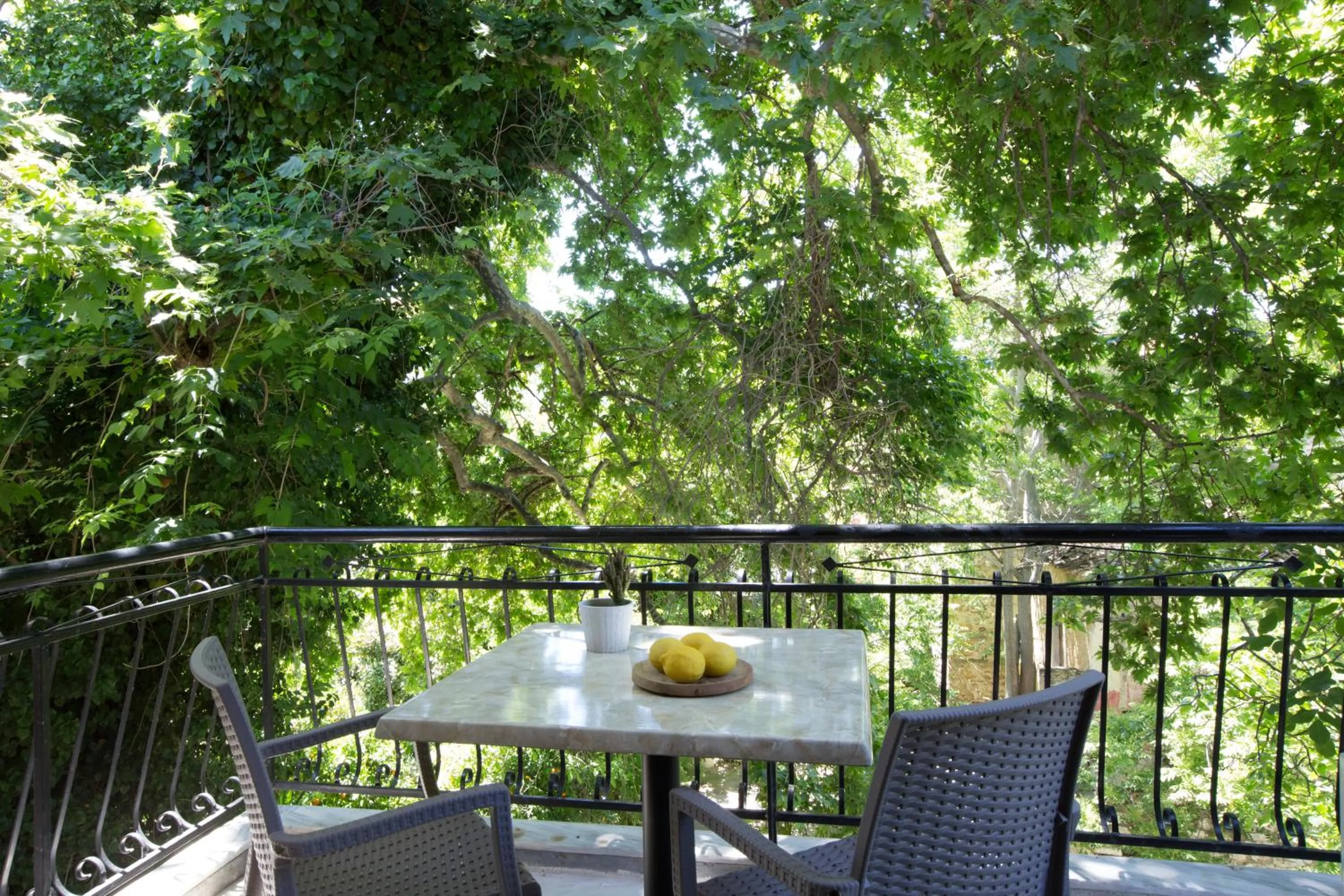 View (from property/room) in Hotel Kastri