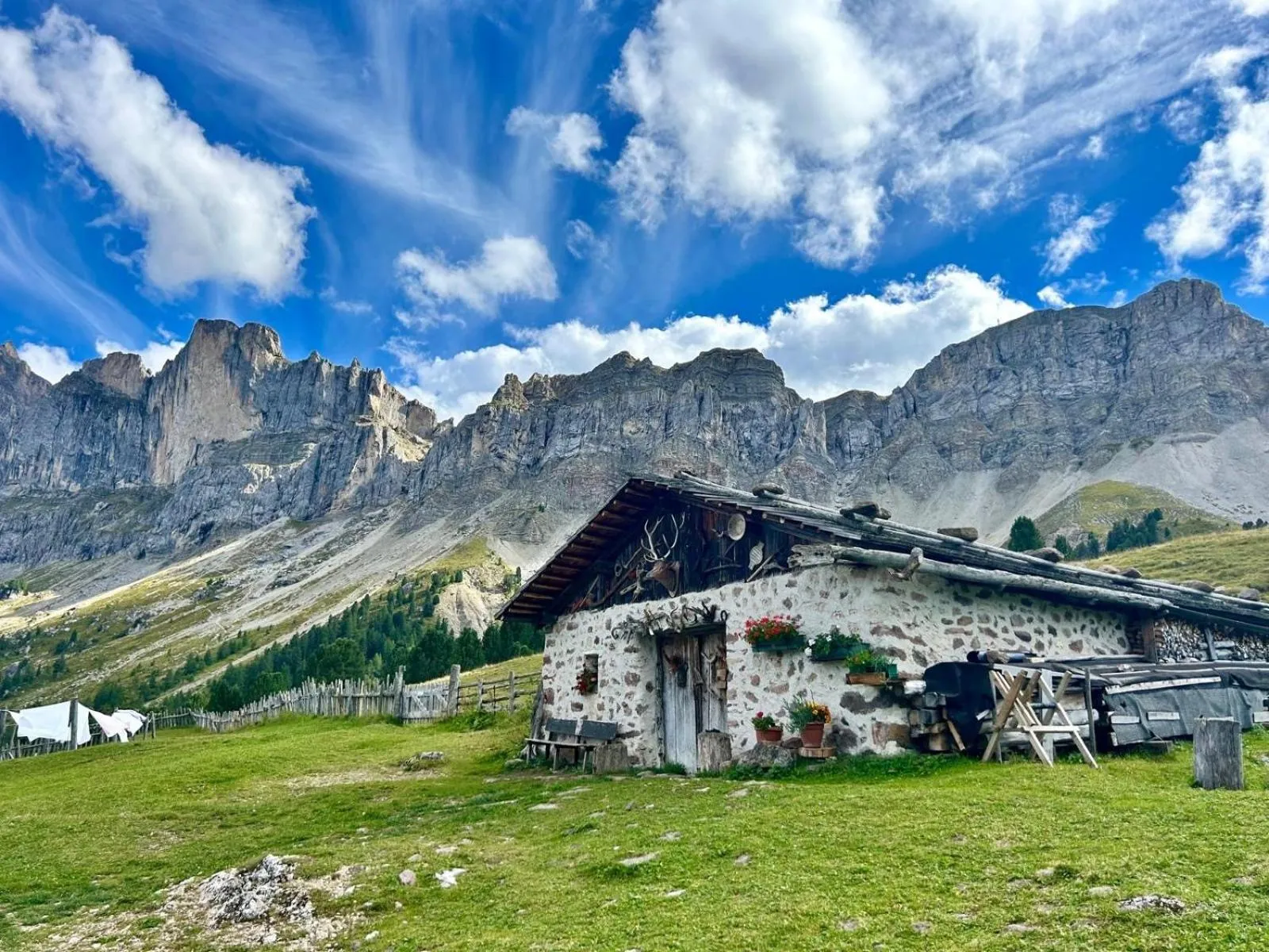 Natural landscape in Residence Villa Stella