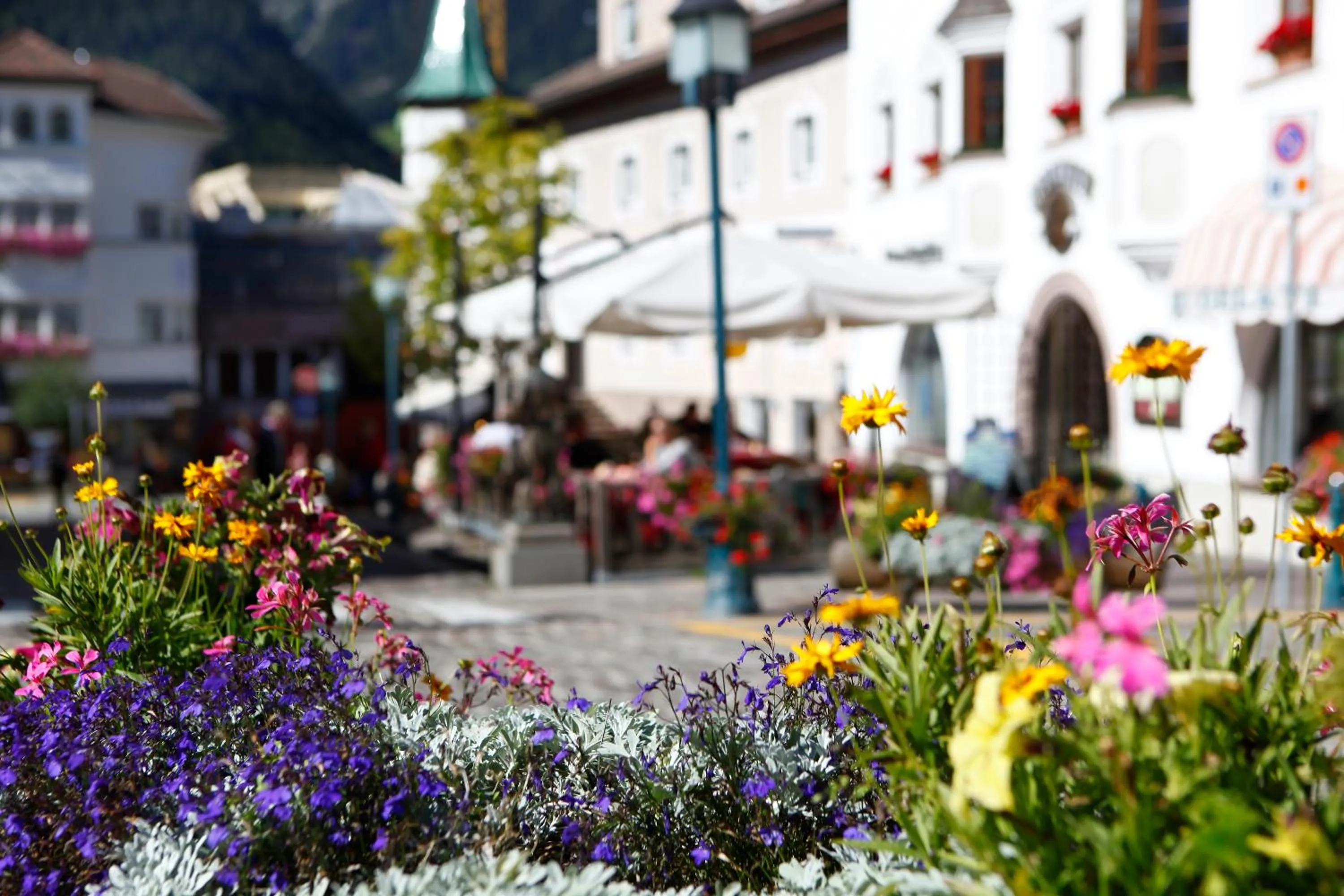 Nearby landmark in Residence Villa Stella