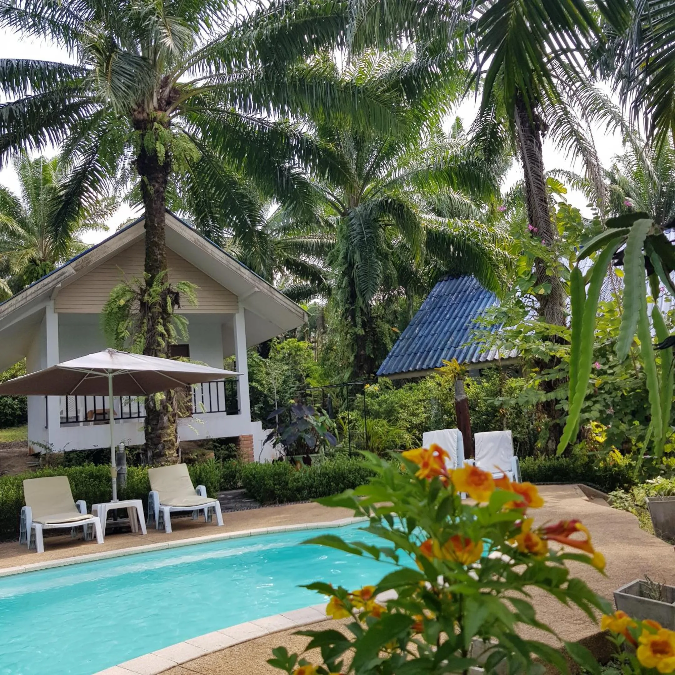 Groovy Bungalows
