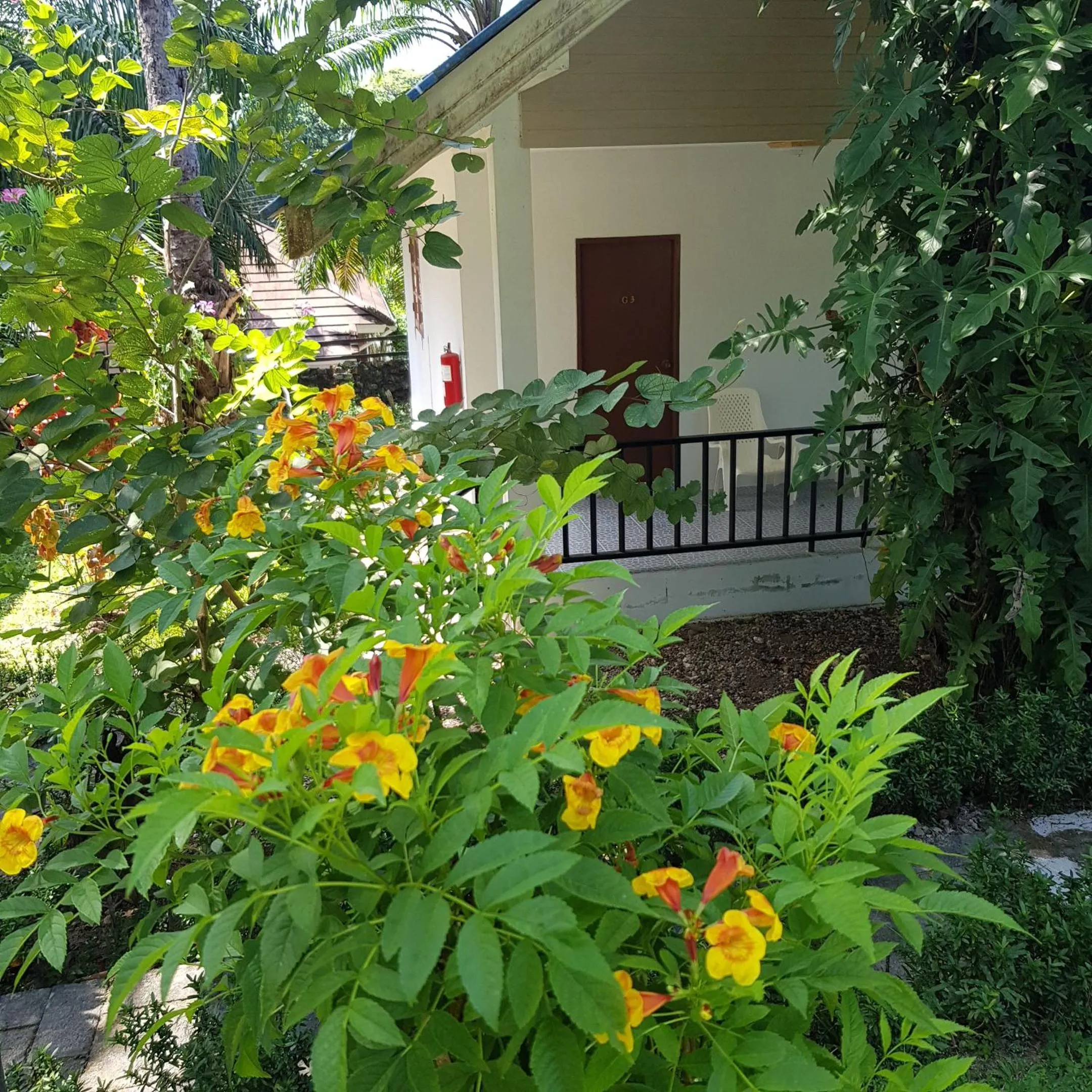 Groovy Bungalows