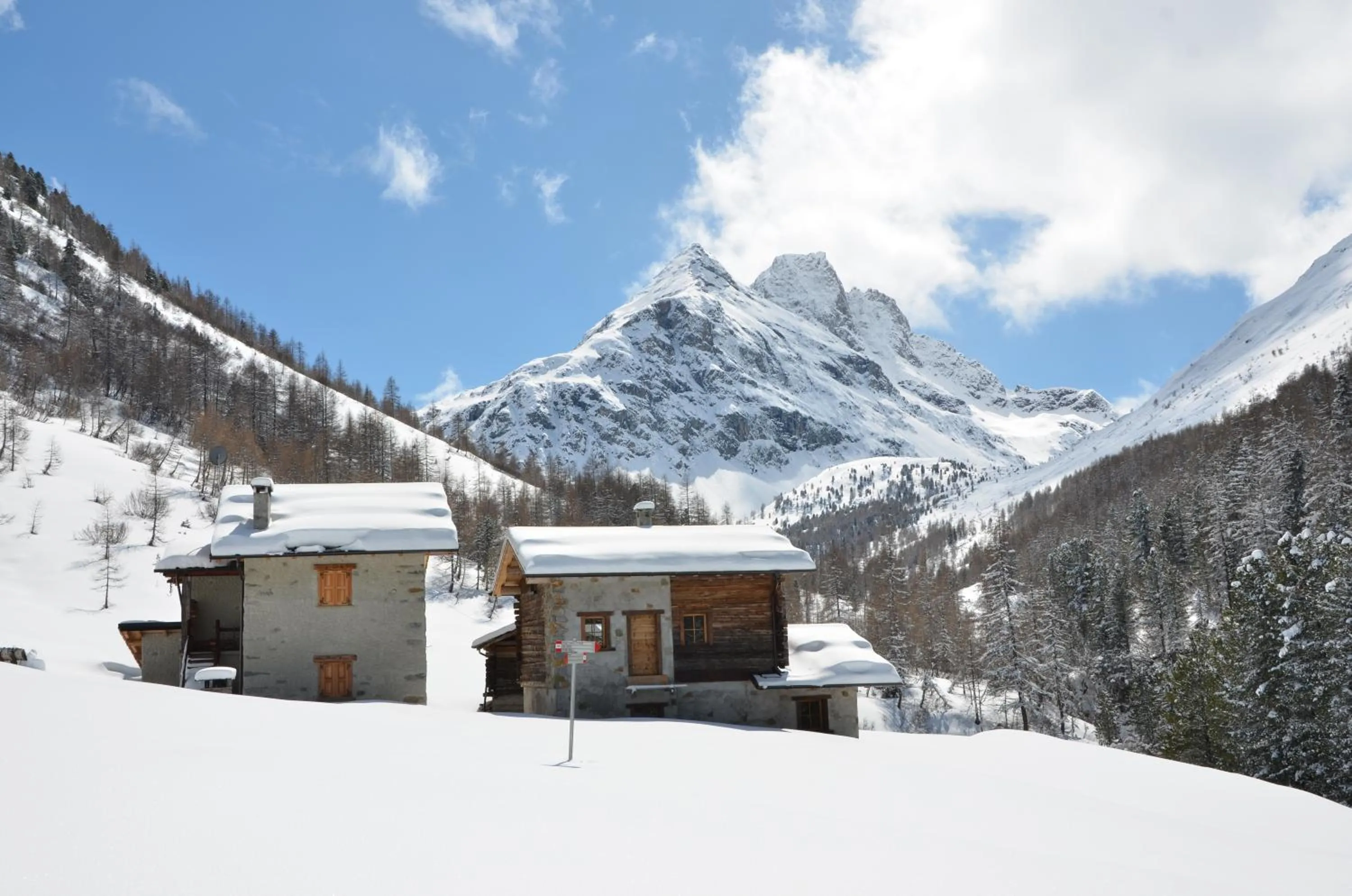 Hiking in Meublè Rosalpina