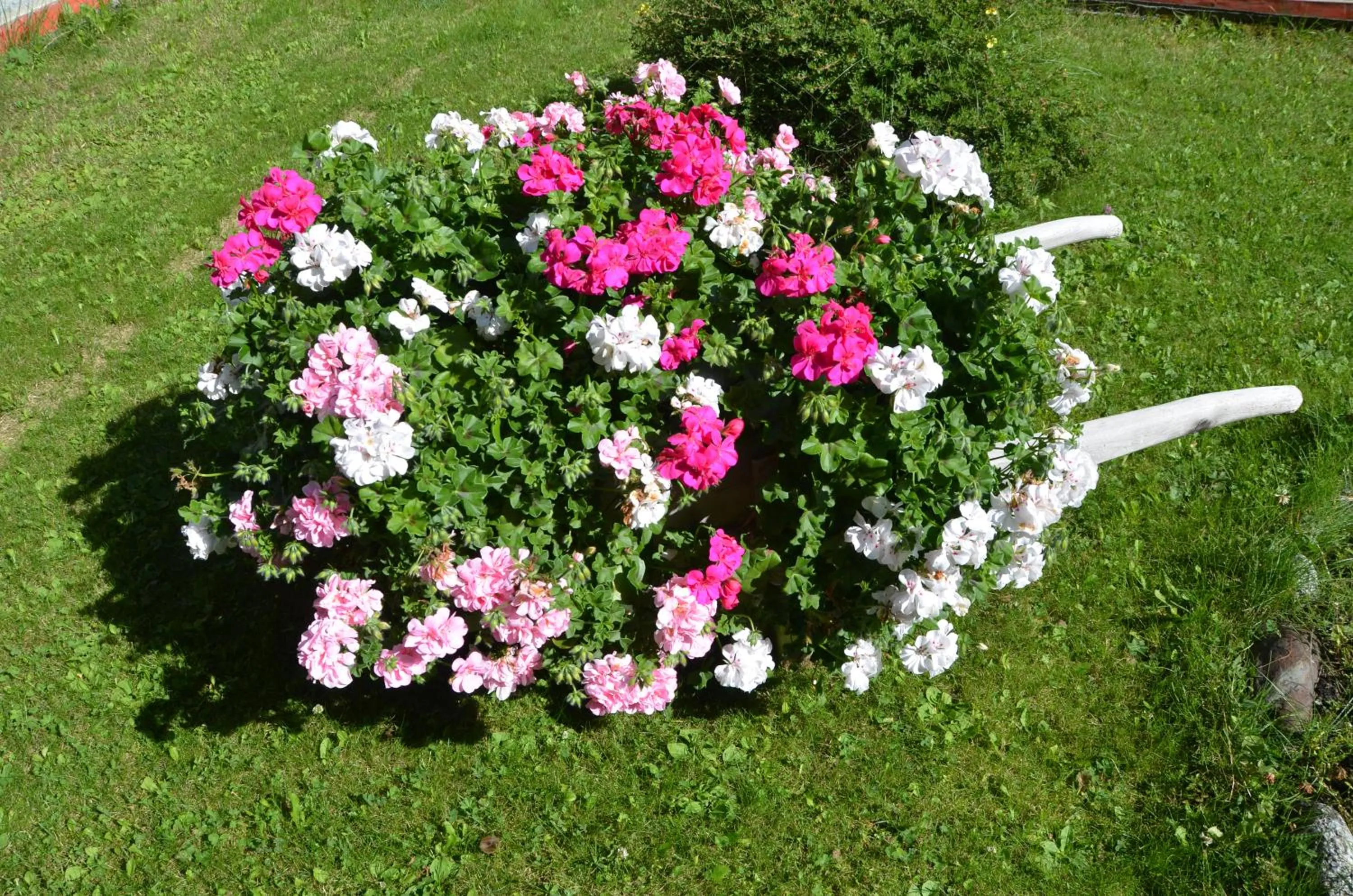 Decorative detail in Meublè Rosalpina