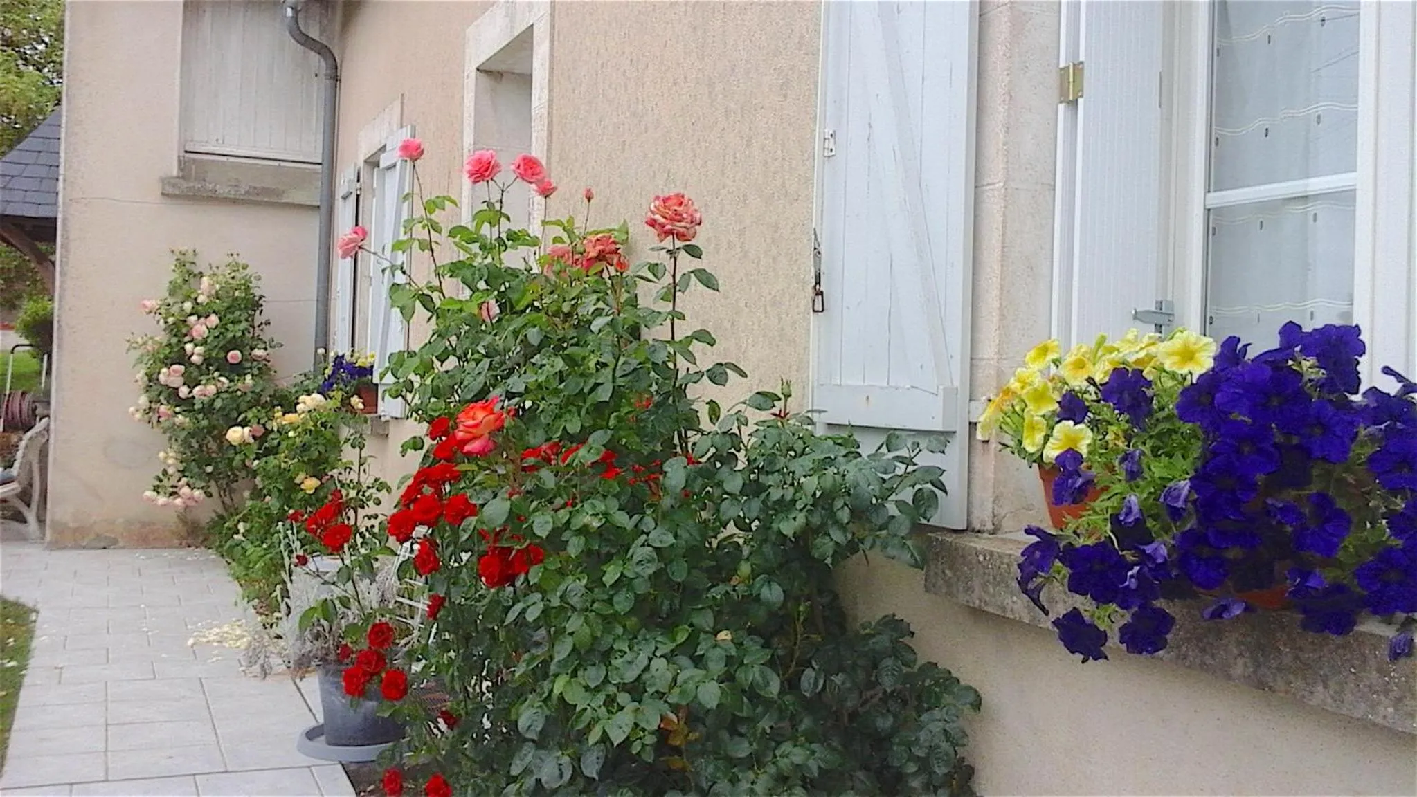 Spring in Le puits de la Montrée