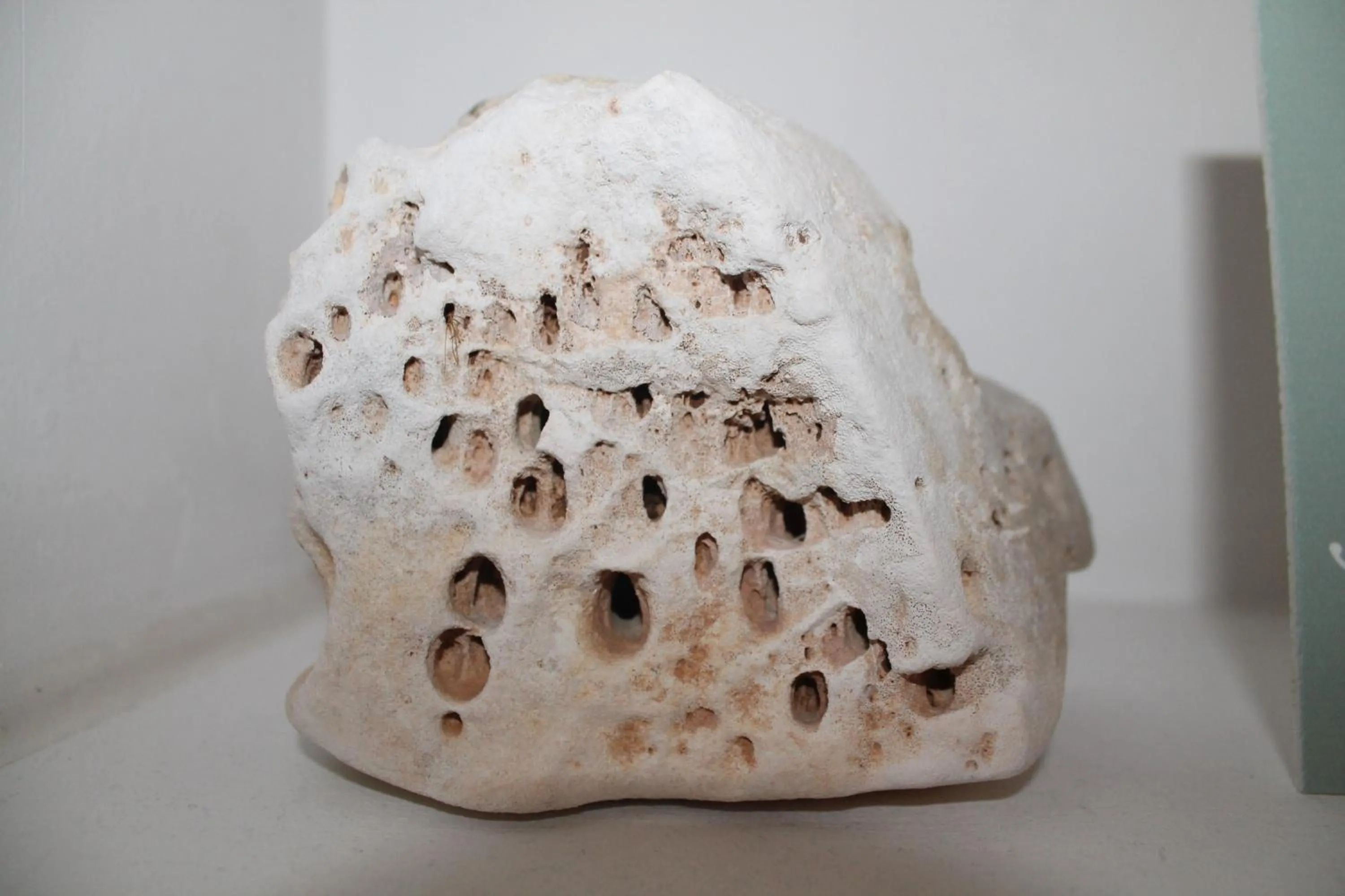 B&B piazza Garibaldi